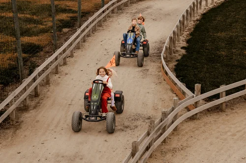 Pedal Carts