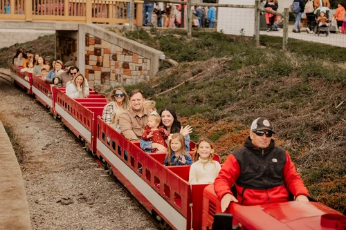 Pumpkin Express 
Train
