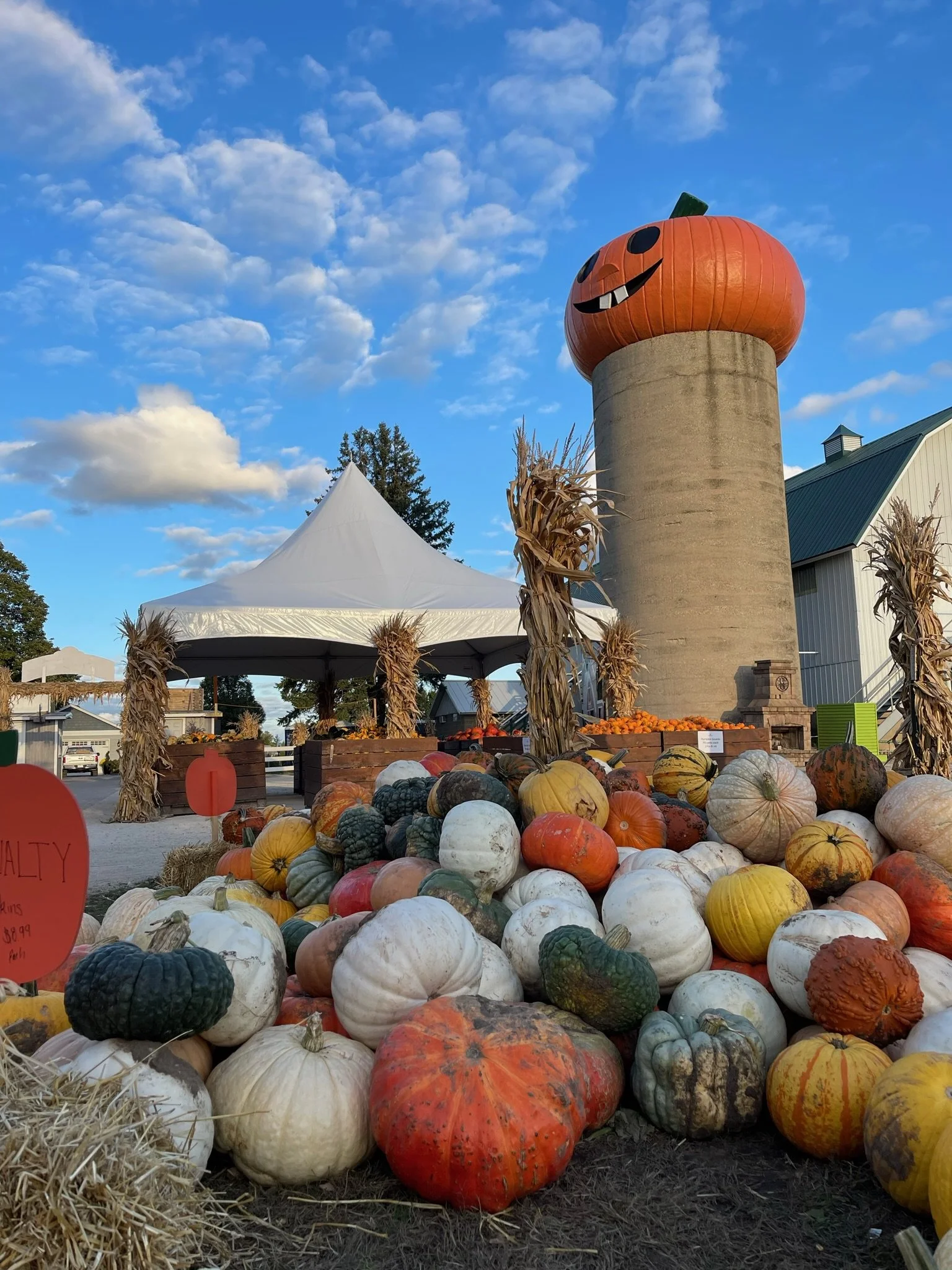WAGON RIDES
TO PUMPKIN PATCH