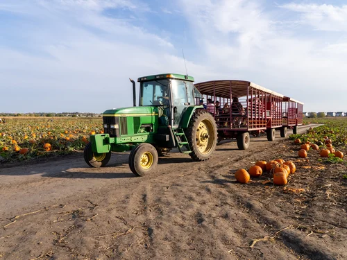 WAGON RIDES
TO PUMPKIN PATCH