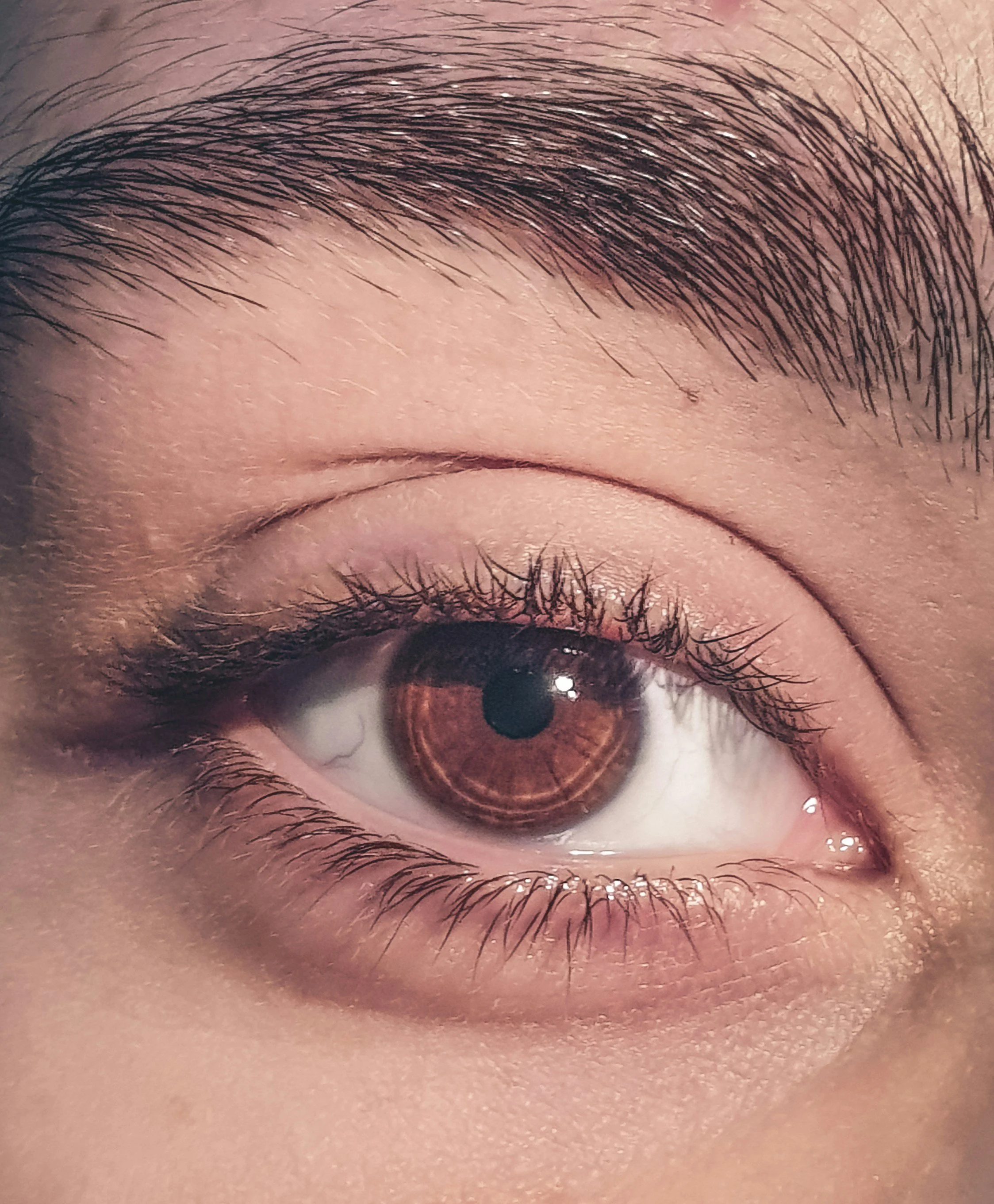 takwa-abdo-2IK78QZhkfo-unsplash.jpg