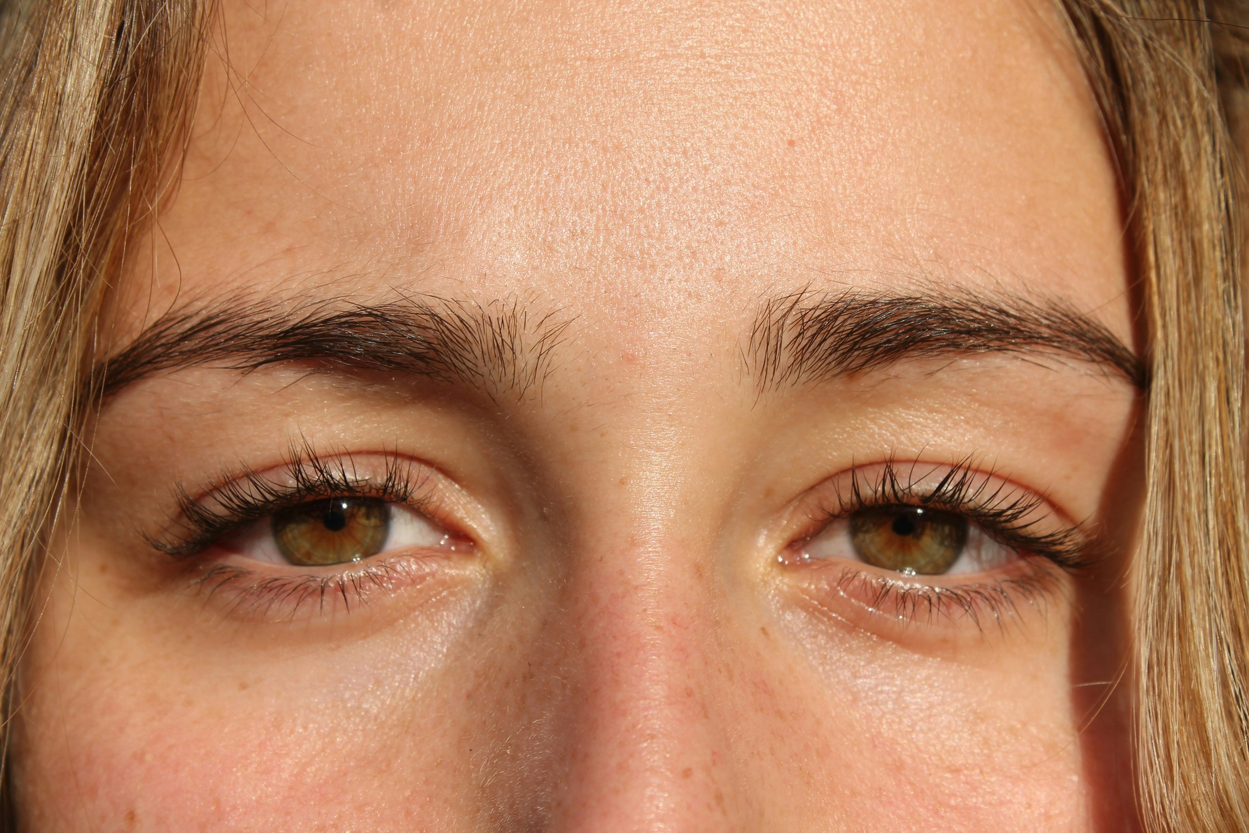 laura-cukaj-0KBldNt0zEA-unsplash.jpg