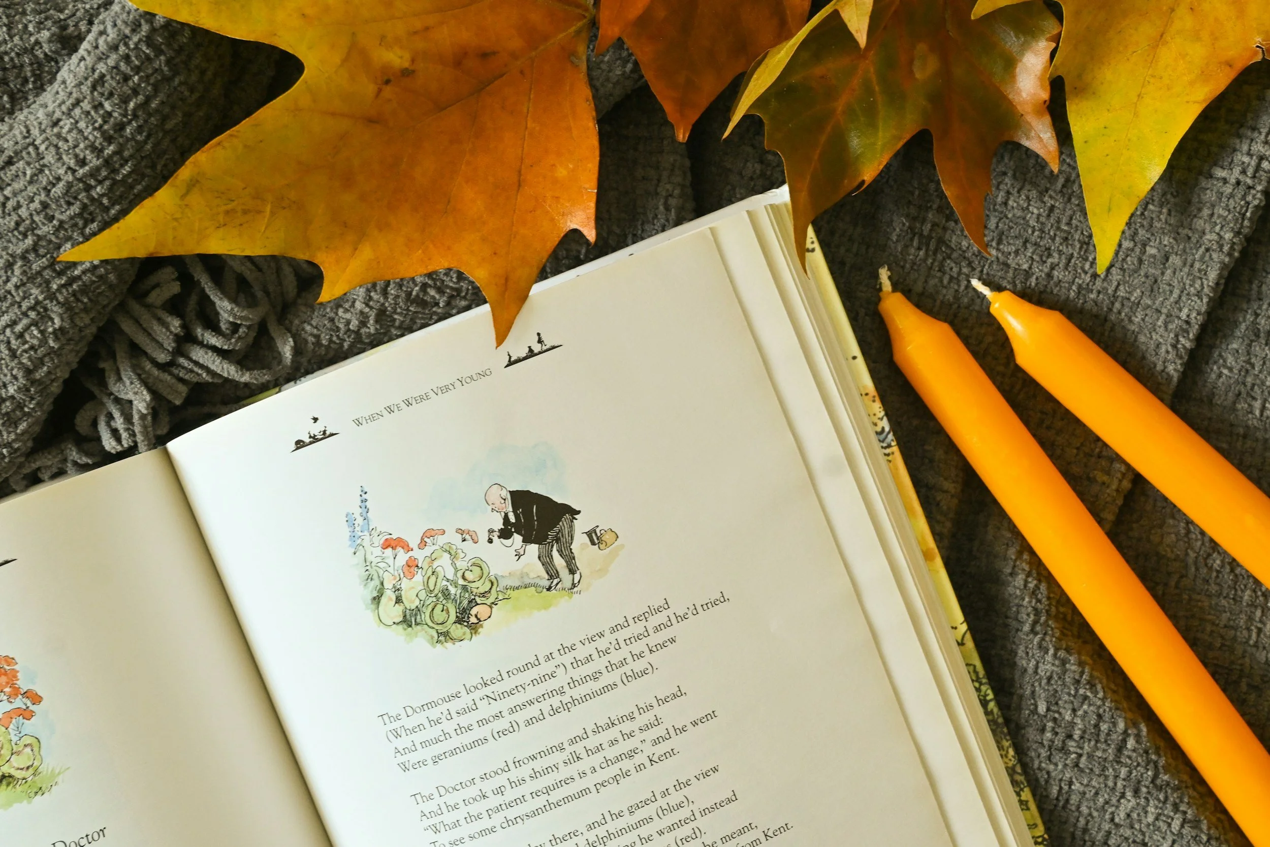 Favorite Fall Picture Books for Littles