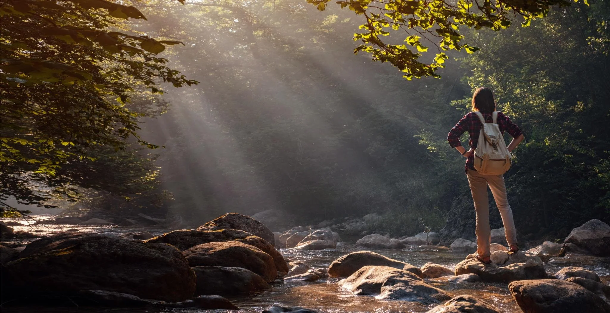 A person standing on rocks in a shallow stream in a forest during sunset, with sunlight filtering through the trees.