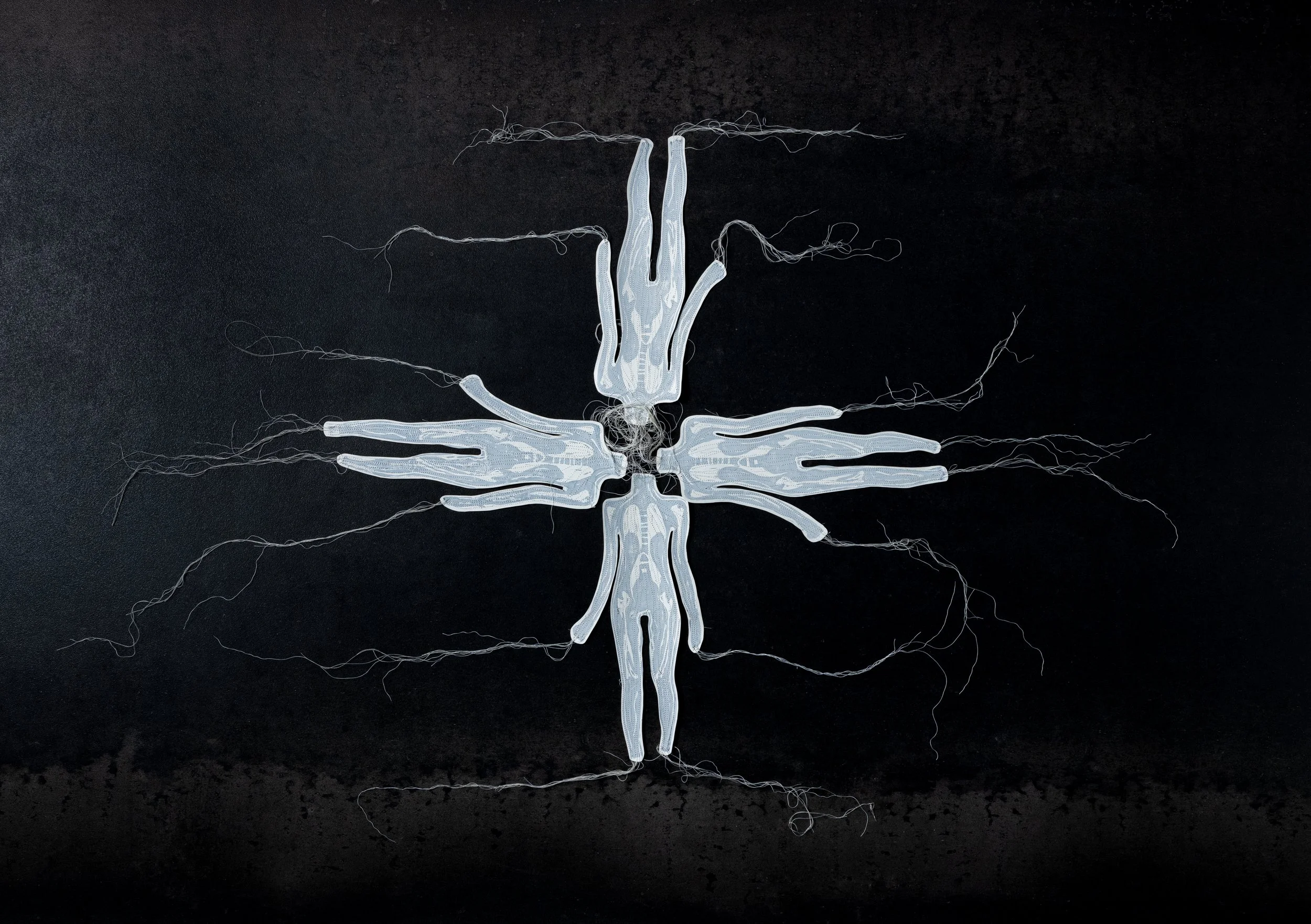 Roots- Composition 2