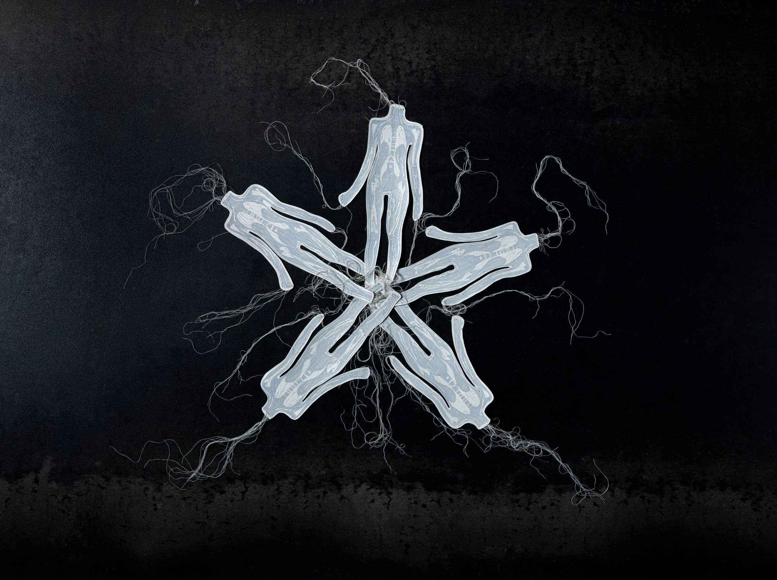 Roots- Composition 1