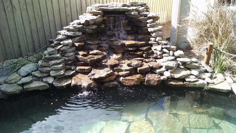 A backyard pond with a rock waterfall feature, surrounded by a wooden fence and some plants.