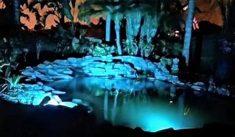 Nighttime view of a landscaped garden pond illuminated with blue lights, surrounded by trees and rocks.