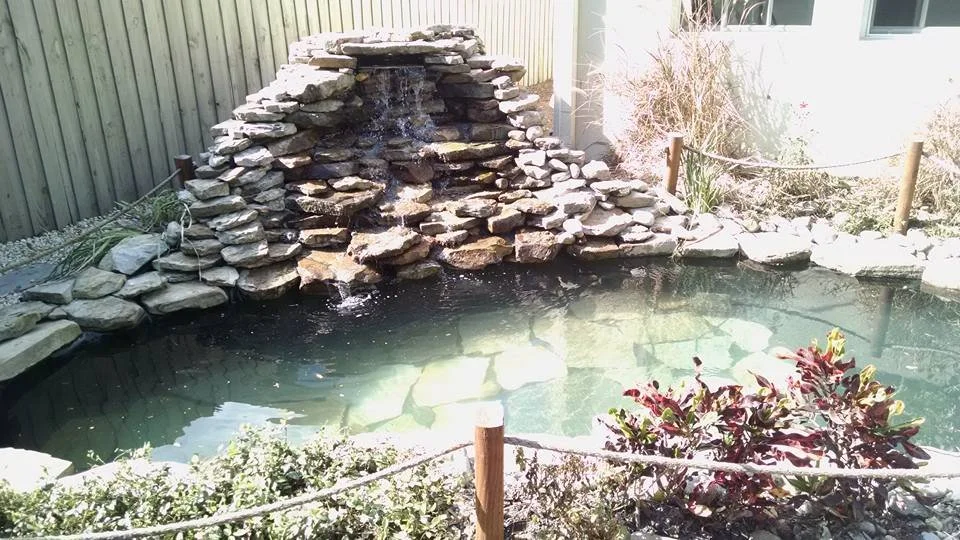 A backyard pond with a stone waterfall feature, surrounded by plants and rocks, with a wooden fence in the background.