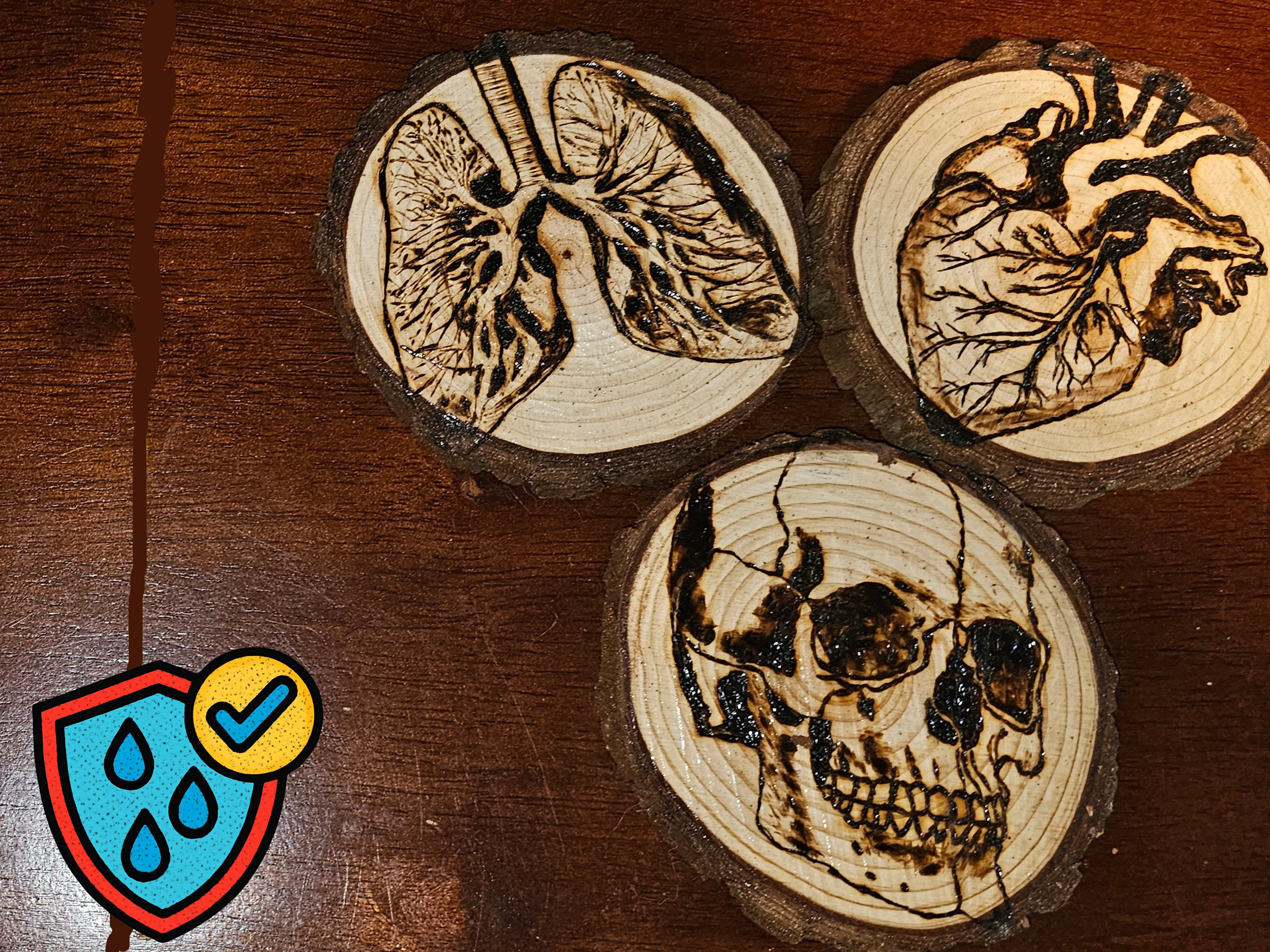 Anatomical Macabre Wood burned Coaster Set