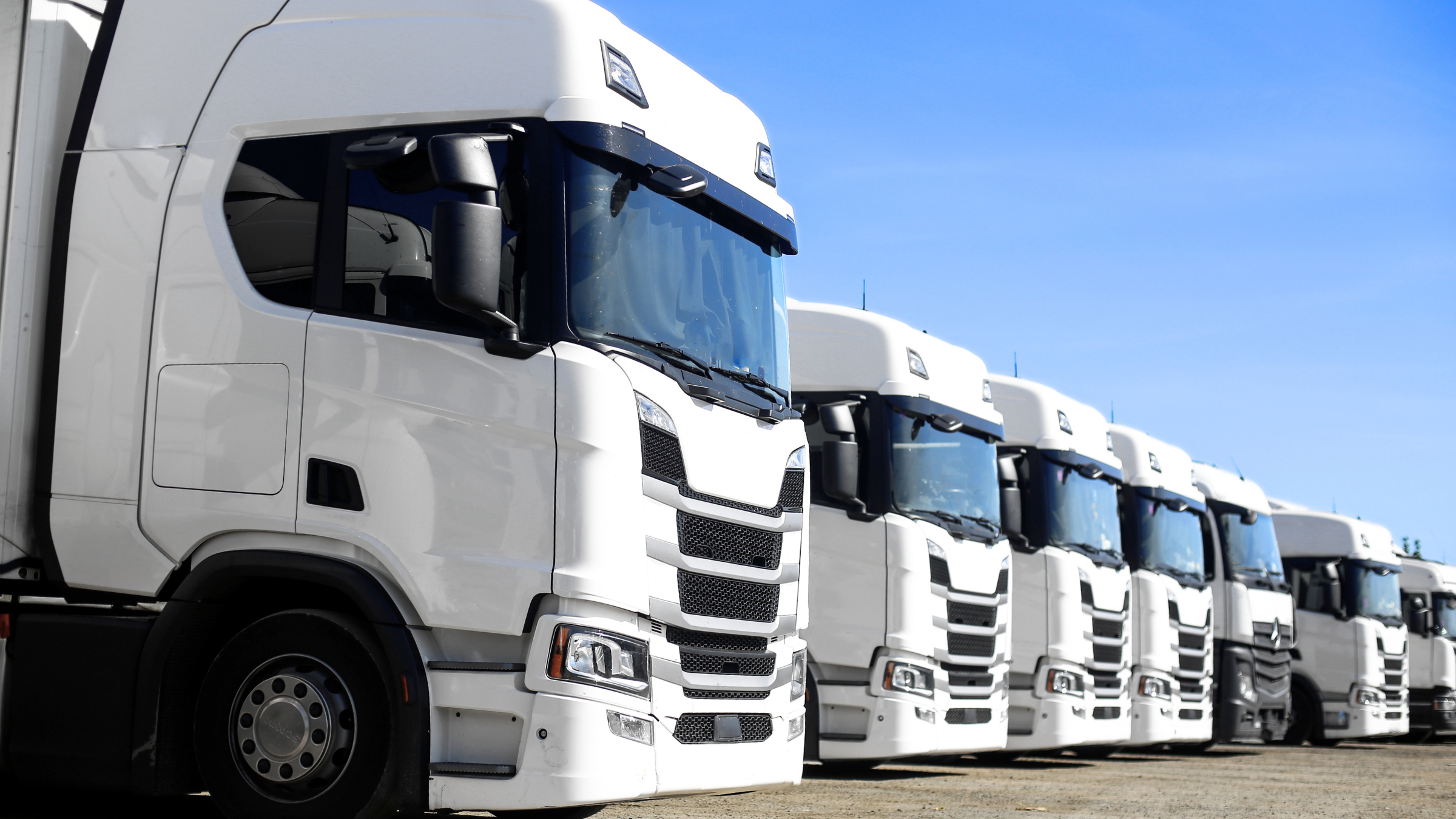 Line of white semi-trucks parked on a lot under a blue sky.