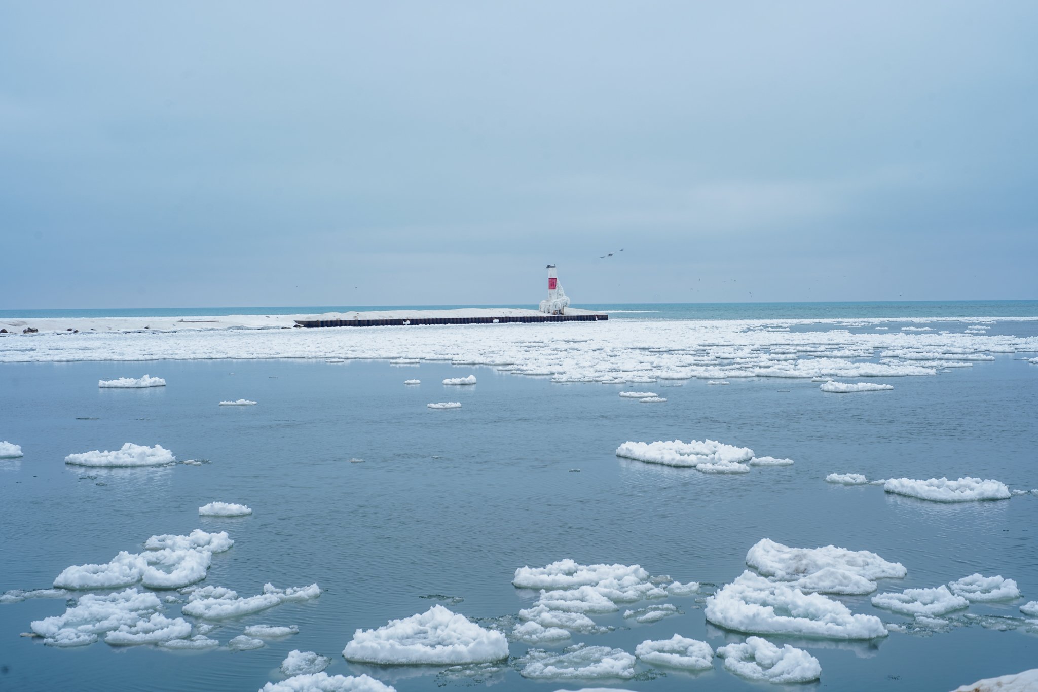 Ice floating on a cold body of water with a lighthouse and a pier in the distance