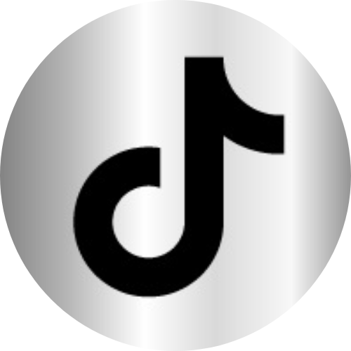 TikTok logo with a silver gradient background in a circular frame.