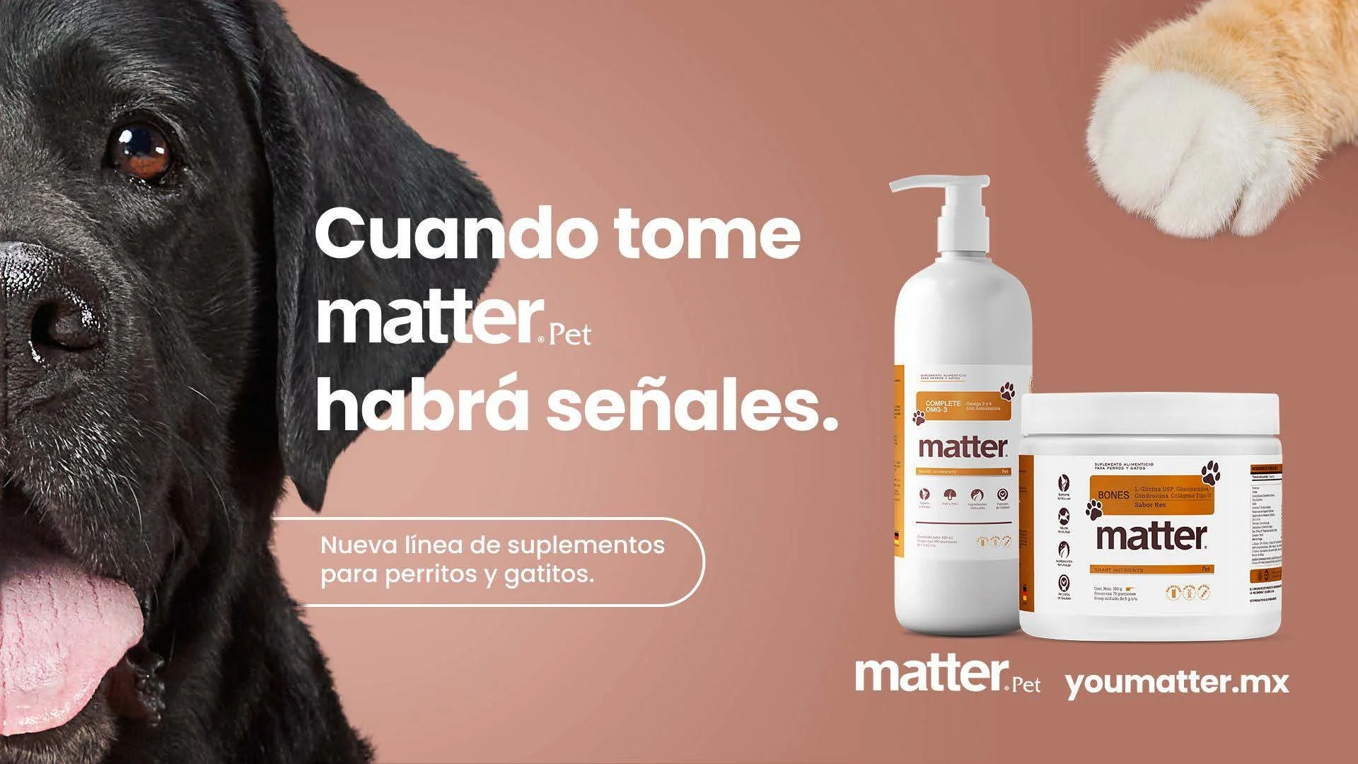 MONTALVO KD [Matter Pet_OHH]®_Page_3.jpg