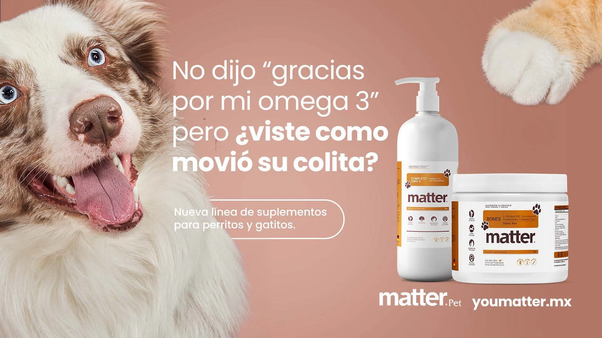 MONTALVO KD [Matter Pet_OHH]®_Page_7.jpg