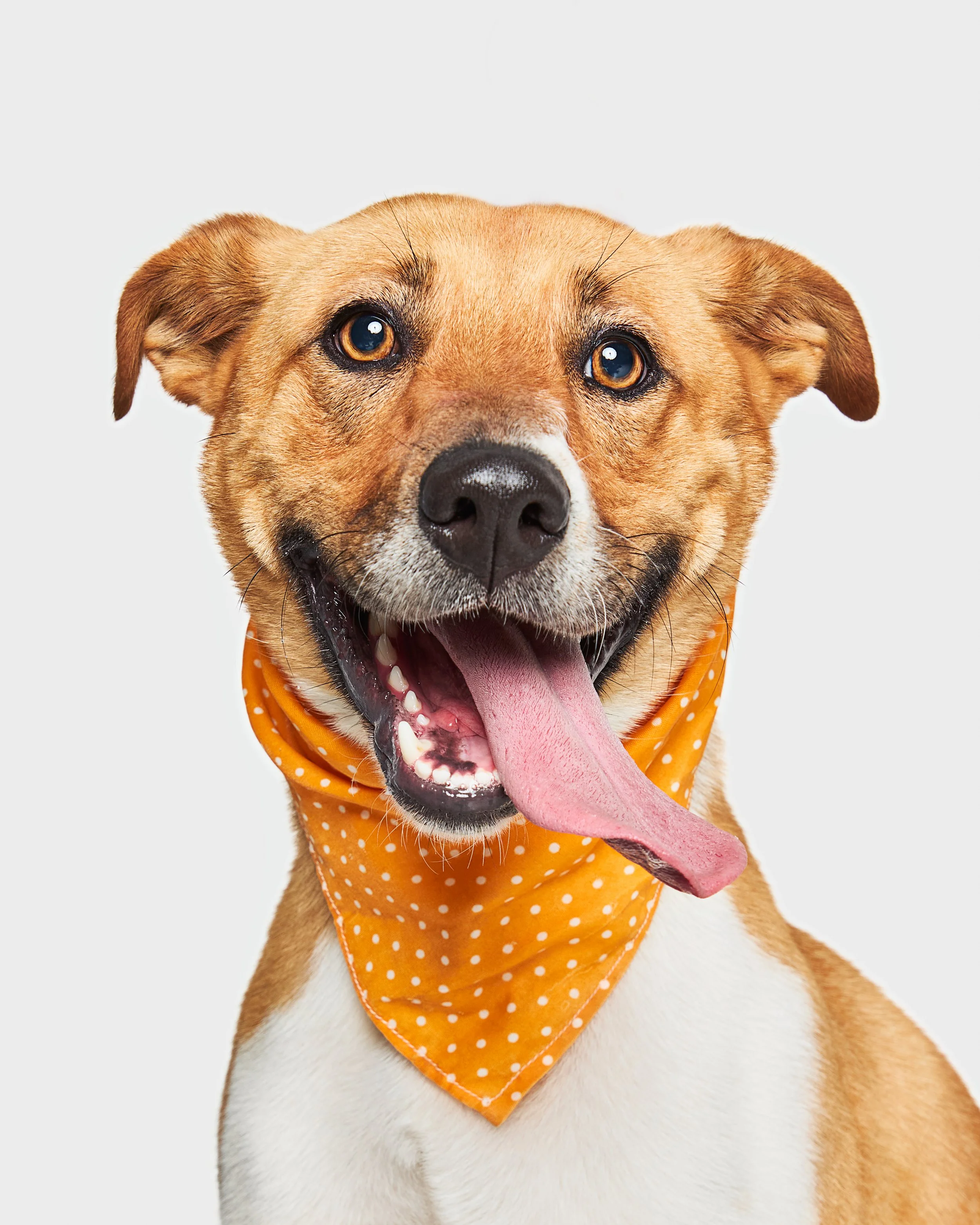Sofi_Adoptist_2025_07_BY_RICARDO_SOLIS_14.jpg