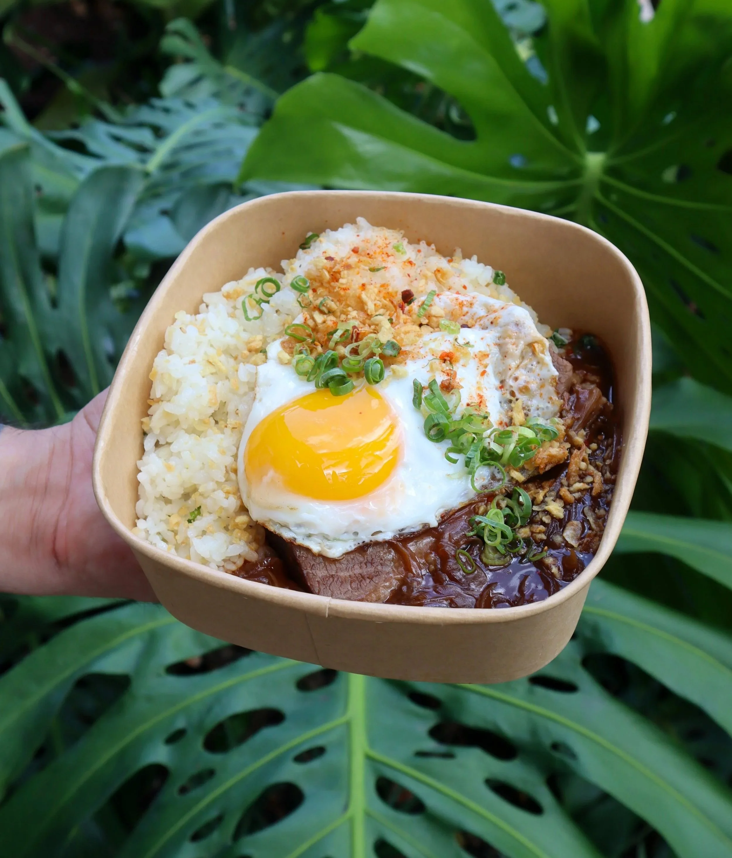 Loco Moco_Braised Beef.jpg