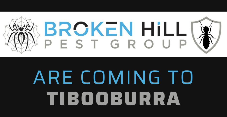 Tibooburra