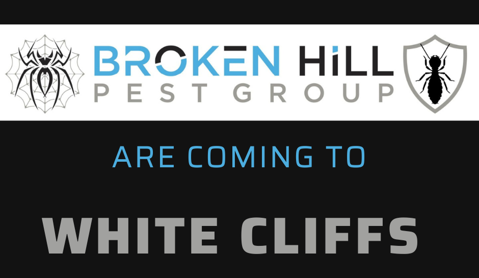 White Cliffs