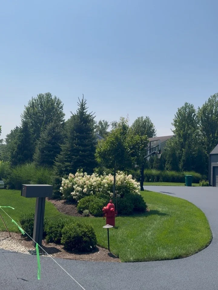 🌿 From Dirt to Dreamscape! 🌿

We love a good transformation, and this project was an absolute favorite! 🙌 From a blank canvas of dirt to a stunning landscape architecture design, we brought every detail to life:

✨ Custom water reserves for sustai