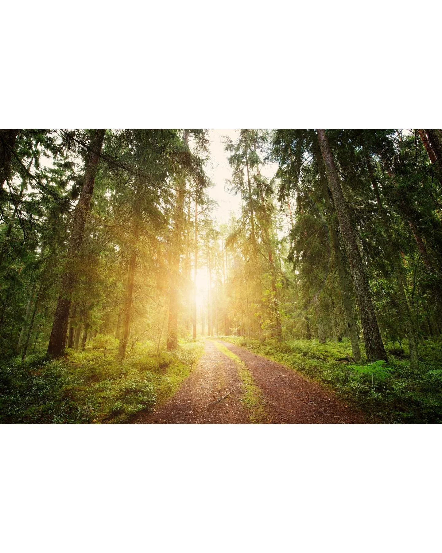 Weekends are a chance to pause, recharge, and reconnect with yourself. 

Too often we rush through our time off to catch up on chores, scroll through our phones, or stay busy until Sunday night. But your mental health needs intentional rest.

Here ar