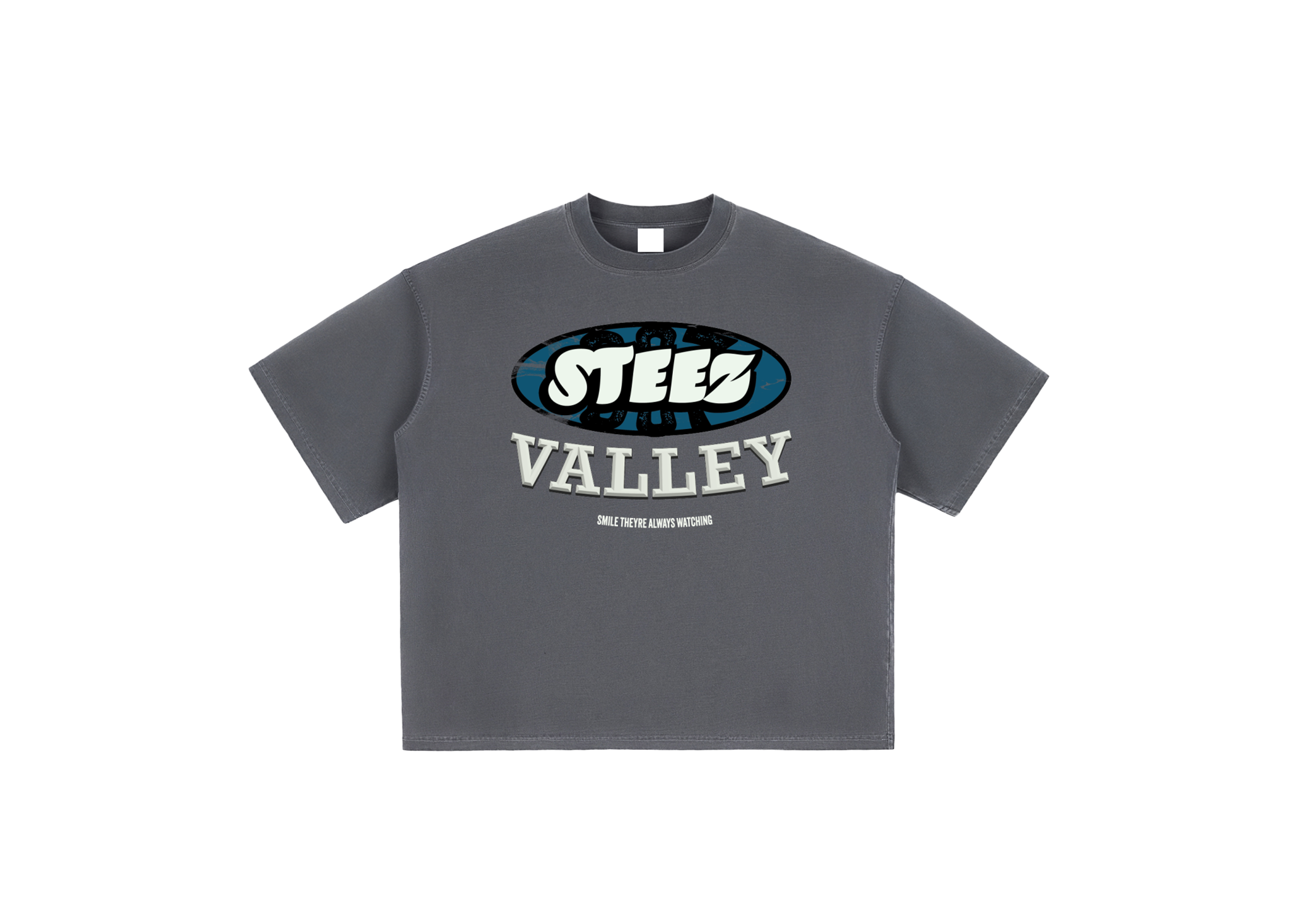 "Steez Valley" Grey Tee