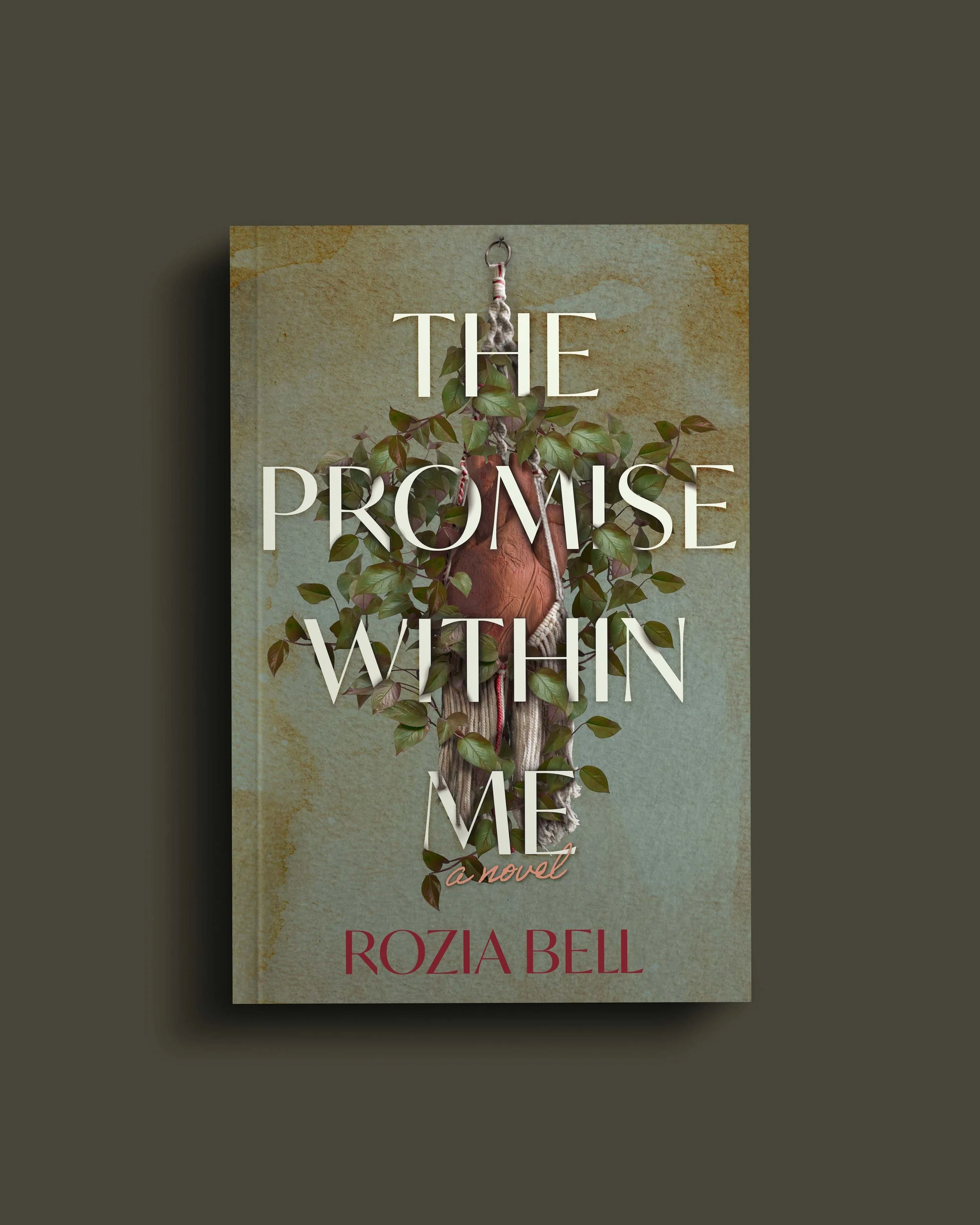 The Promise Within Me - Paperback (Pre-order)