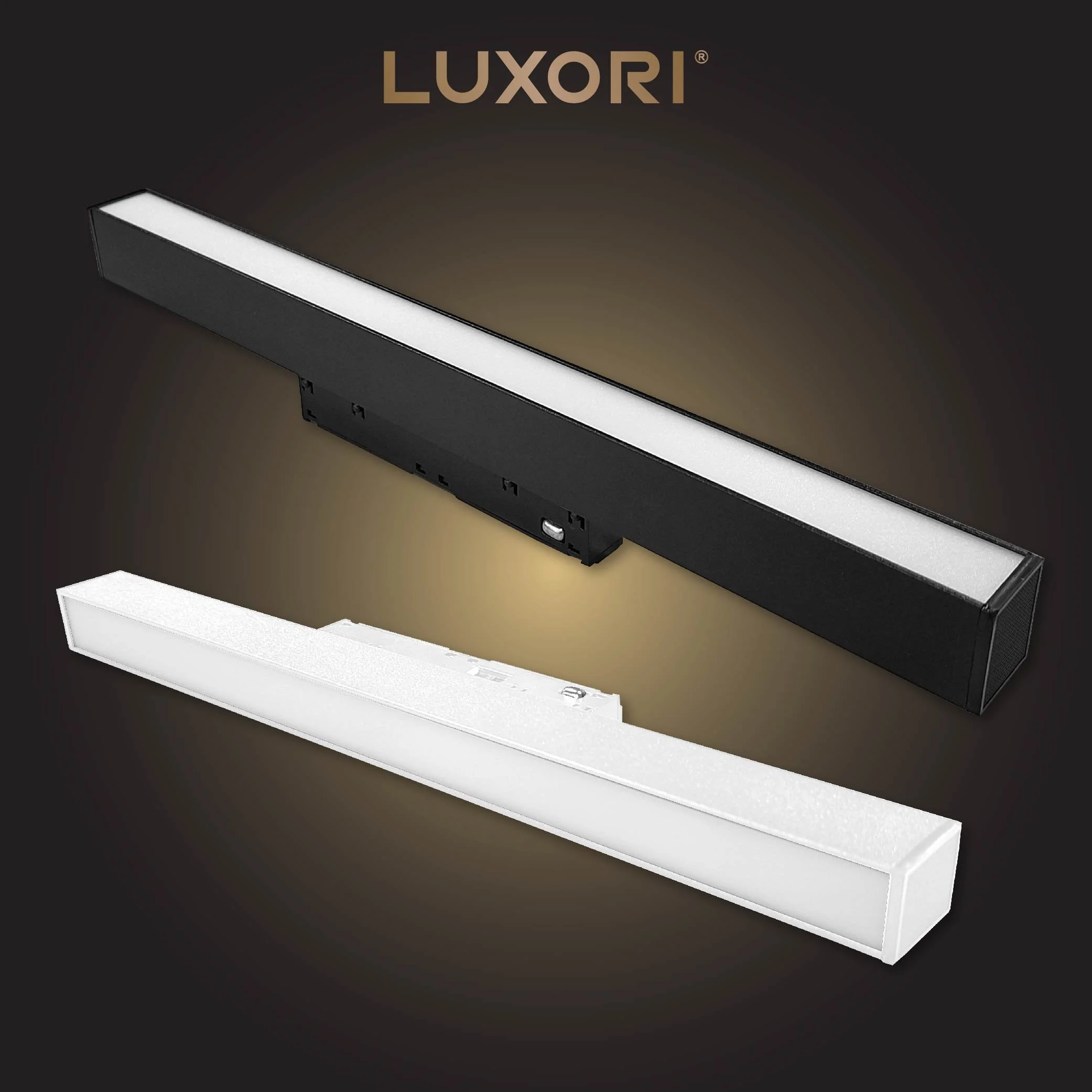 LUXORI COVER WEB-10.jpg