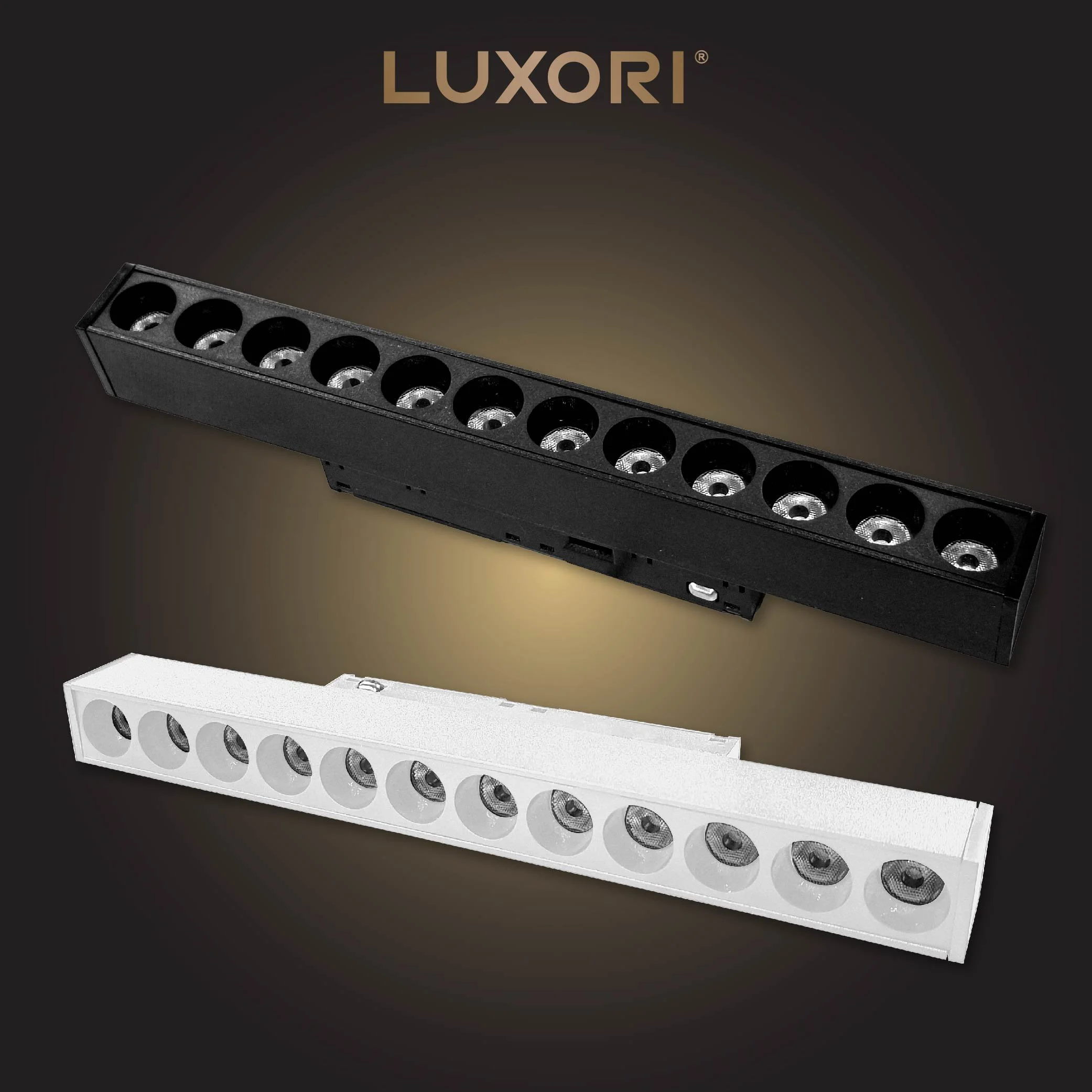 LUXORI COVER WEB-11.jpg
