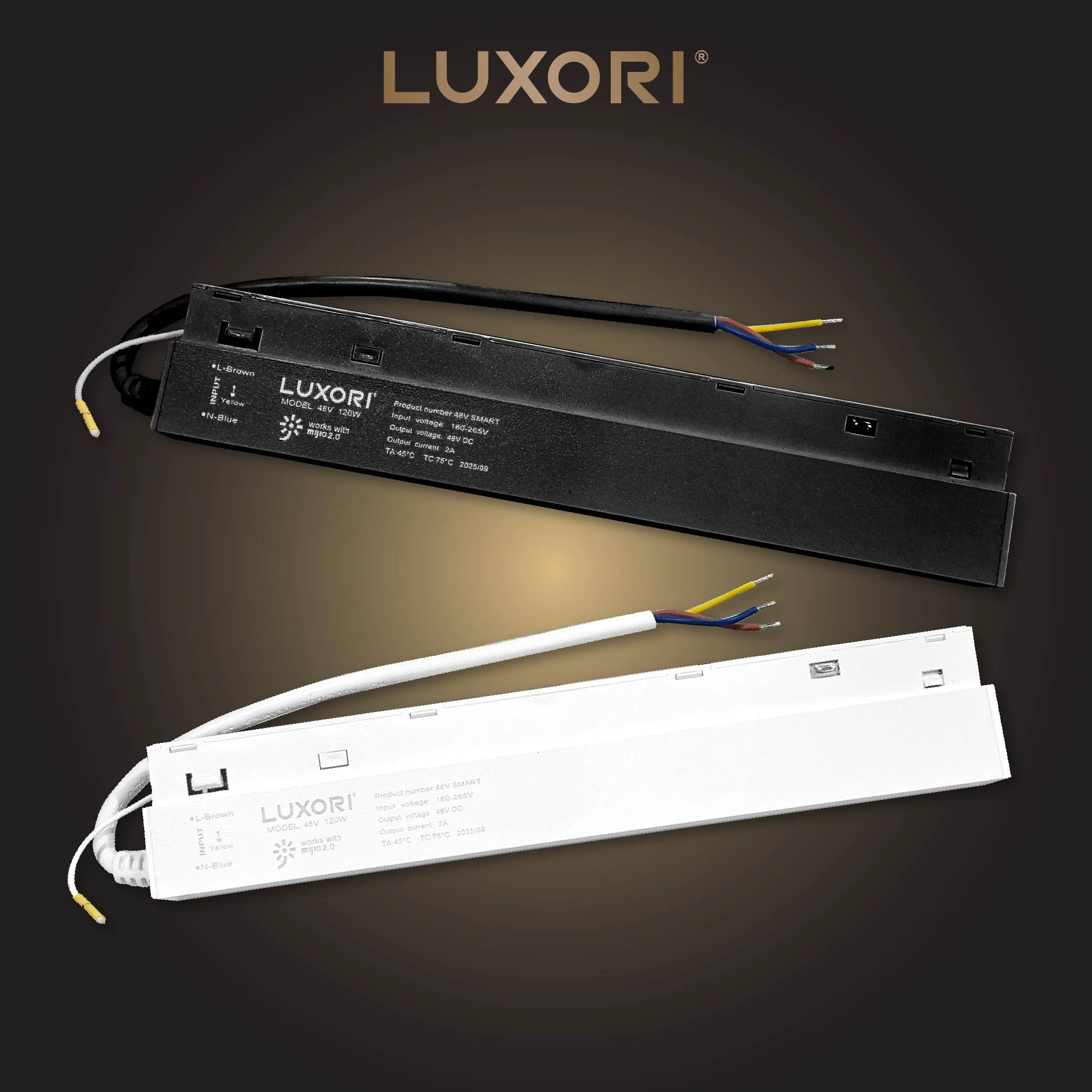 LUXORI COVER WEB-16.jpg