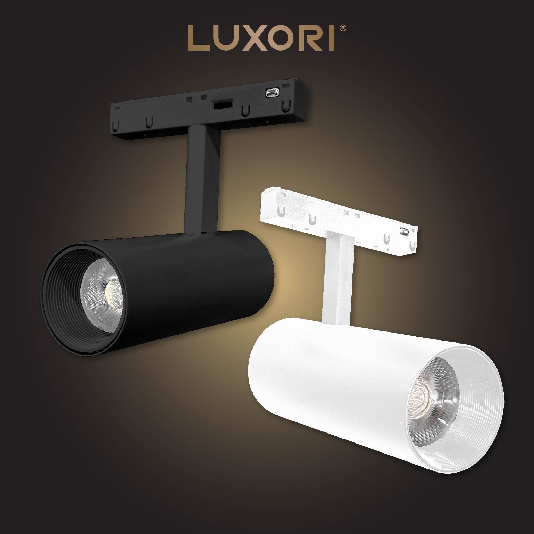 LUXORI COVER WEB-14.jpg