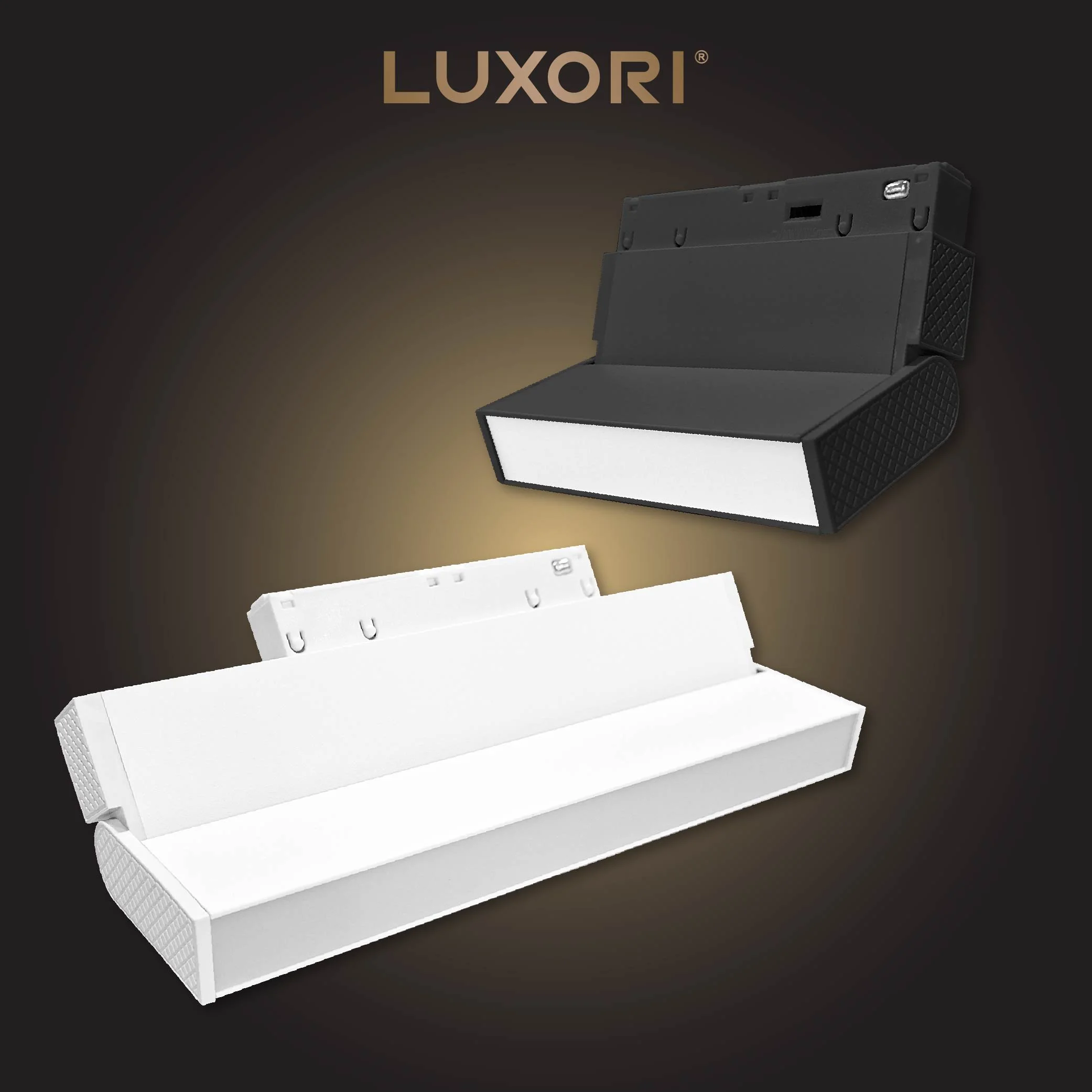 LUXORI COVER WEB-12.jpg