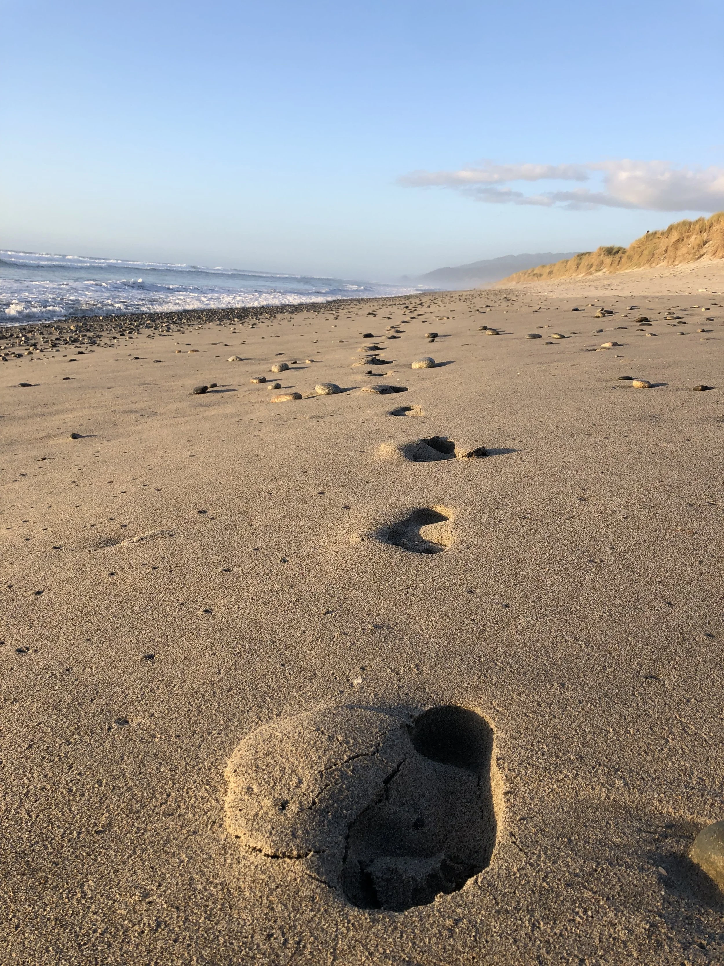Every Choice Leads Somewhere