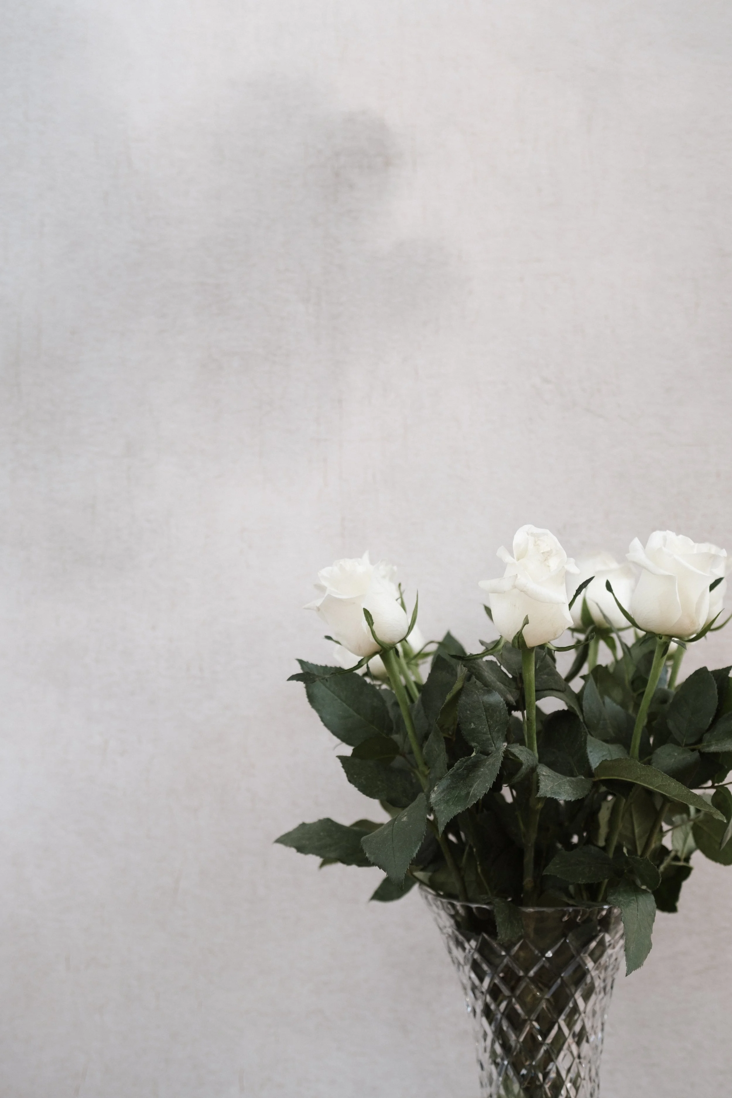 A bouquet of white roses with dark green leaves in a crystal vase against a plain light-colored background.