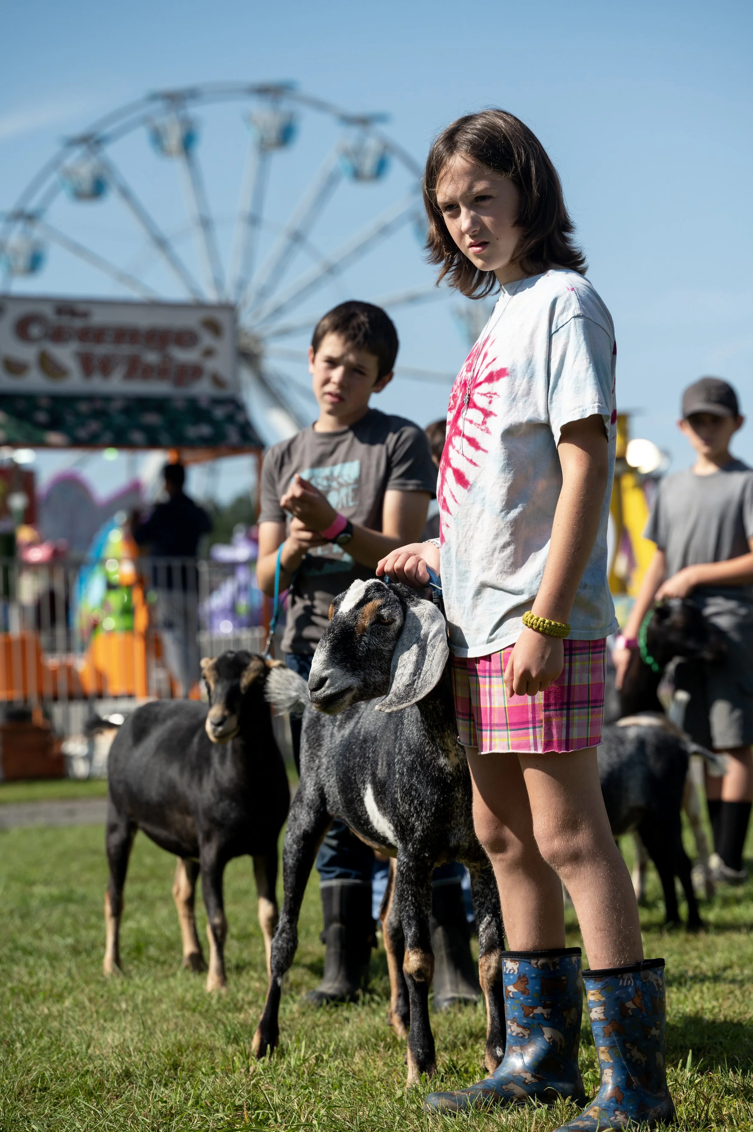 Louise Swift, 10, front, and Luke Morrison, 12, line up for their turns in a goat agility competition August 24, 2023 at the Caledonia County Fair in Lyndonville, Vermont. Competitors guided their goats through a small obstacle course, including thro