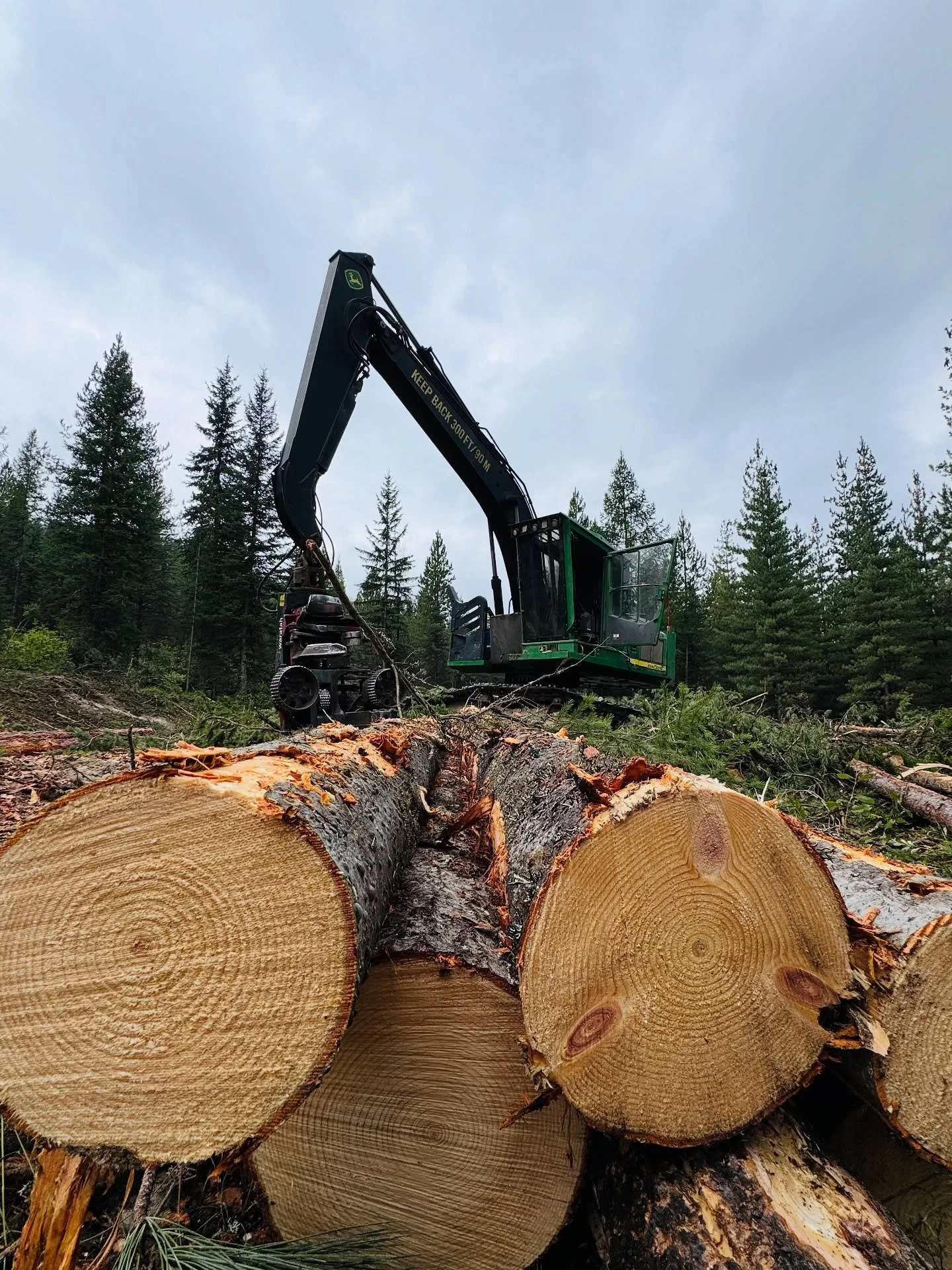 Welcoming the coming fall with a big smile on our faces after this summer of heat 🔥Let the good times roll #logging  #montana