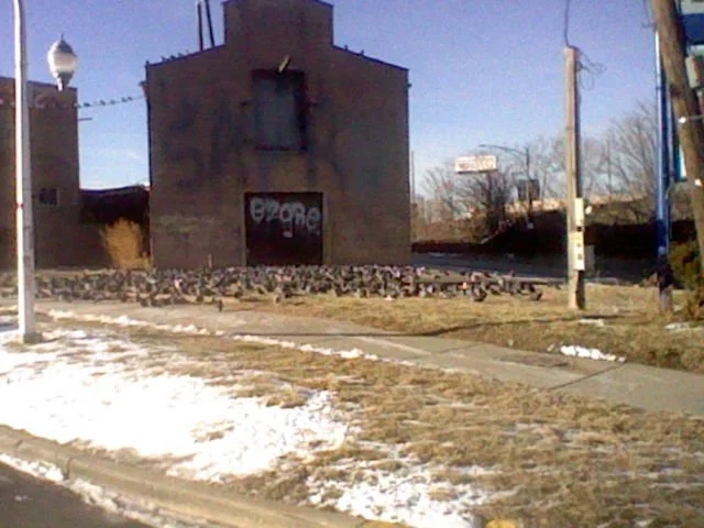 "(v)41.9(o)422(r)7, -8(t)7.71(e)288(x)" | 
Digital Photography (3DS) | 
2026