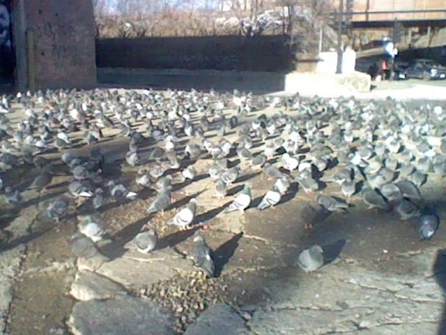 "(p)41.9(a)422(s)7, -8(s)7.71(e)288(l)" | 
Digital Photography | 
2026