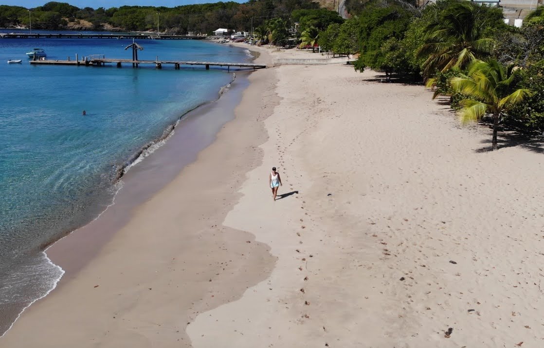 A person walking along a sandy beach near clear blue water, with palm trees and a pier in the background.