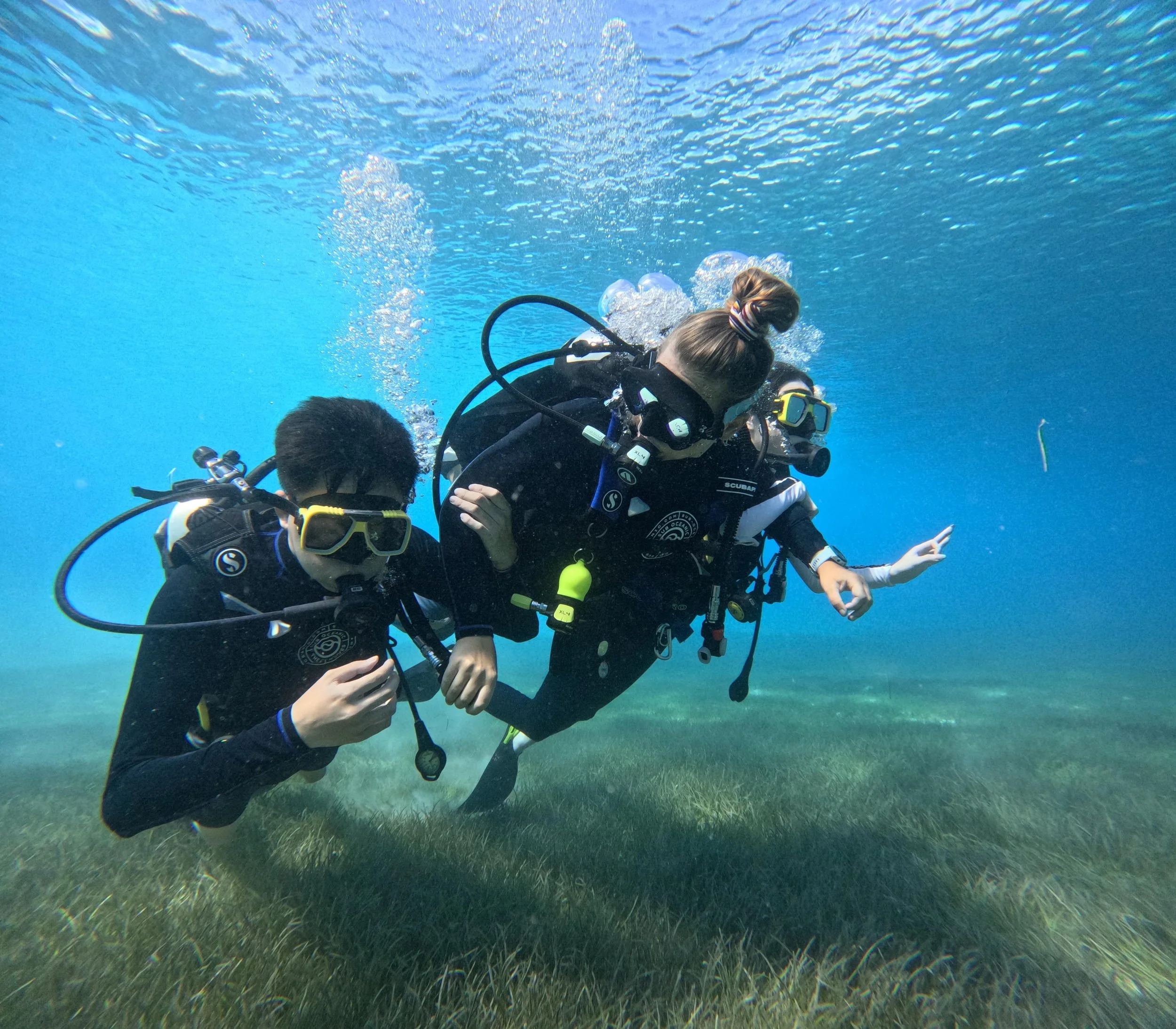 Two scuba divers underwater, one helping the other, near a grassy ocean floor.