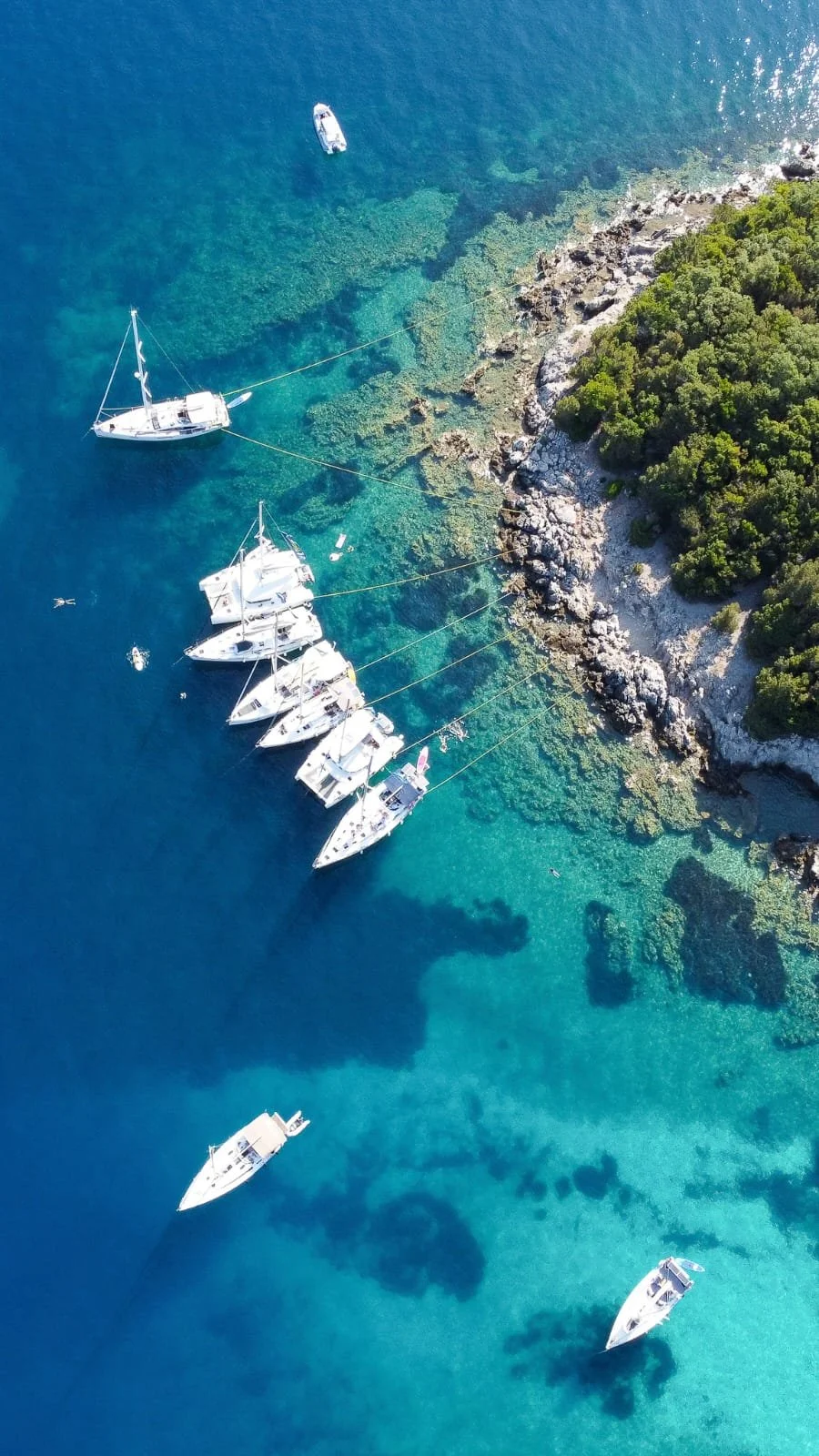 An aerial view of several white sailboats anchored near a rocky, green shoreline with clear blue water.