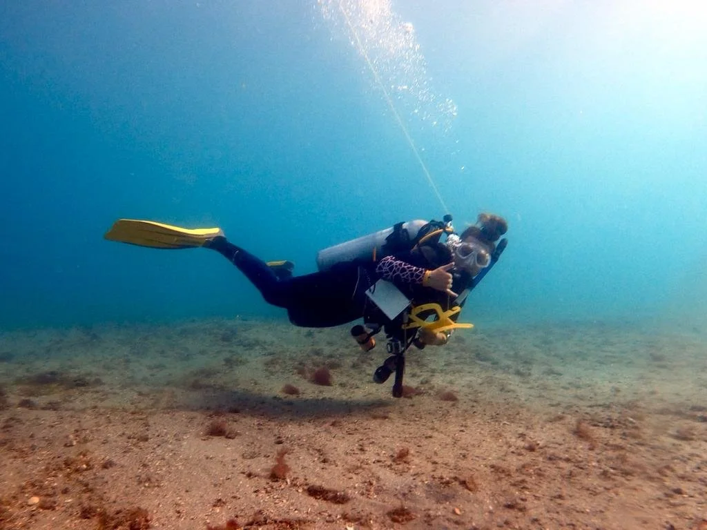 A scuba diver swimming underwater near the seabed, wearing a wetsuit, fins, and a mask, with a tank on their back.