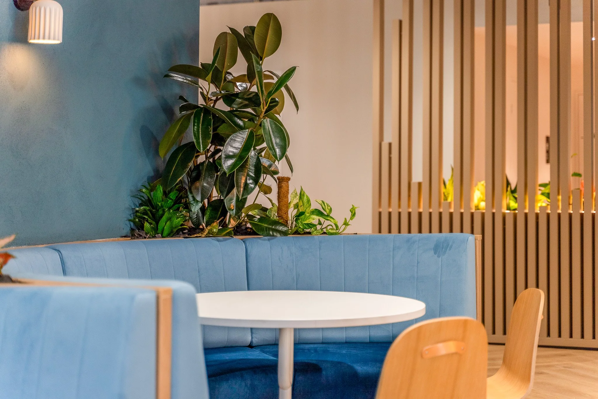 One O_Connel (74 of 112).jpg