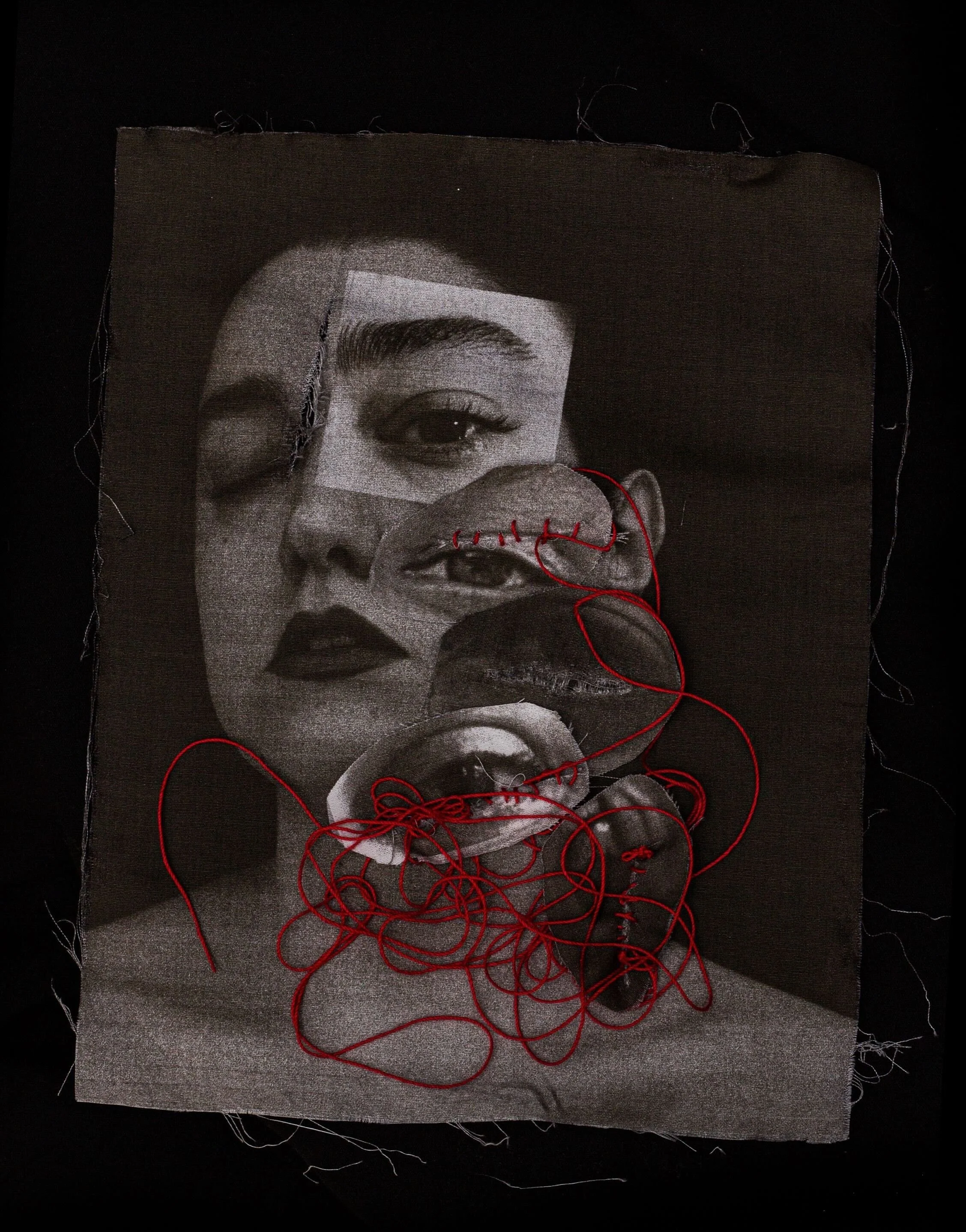 The Cheetahs That Didn’t Run With Me