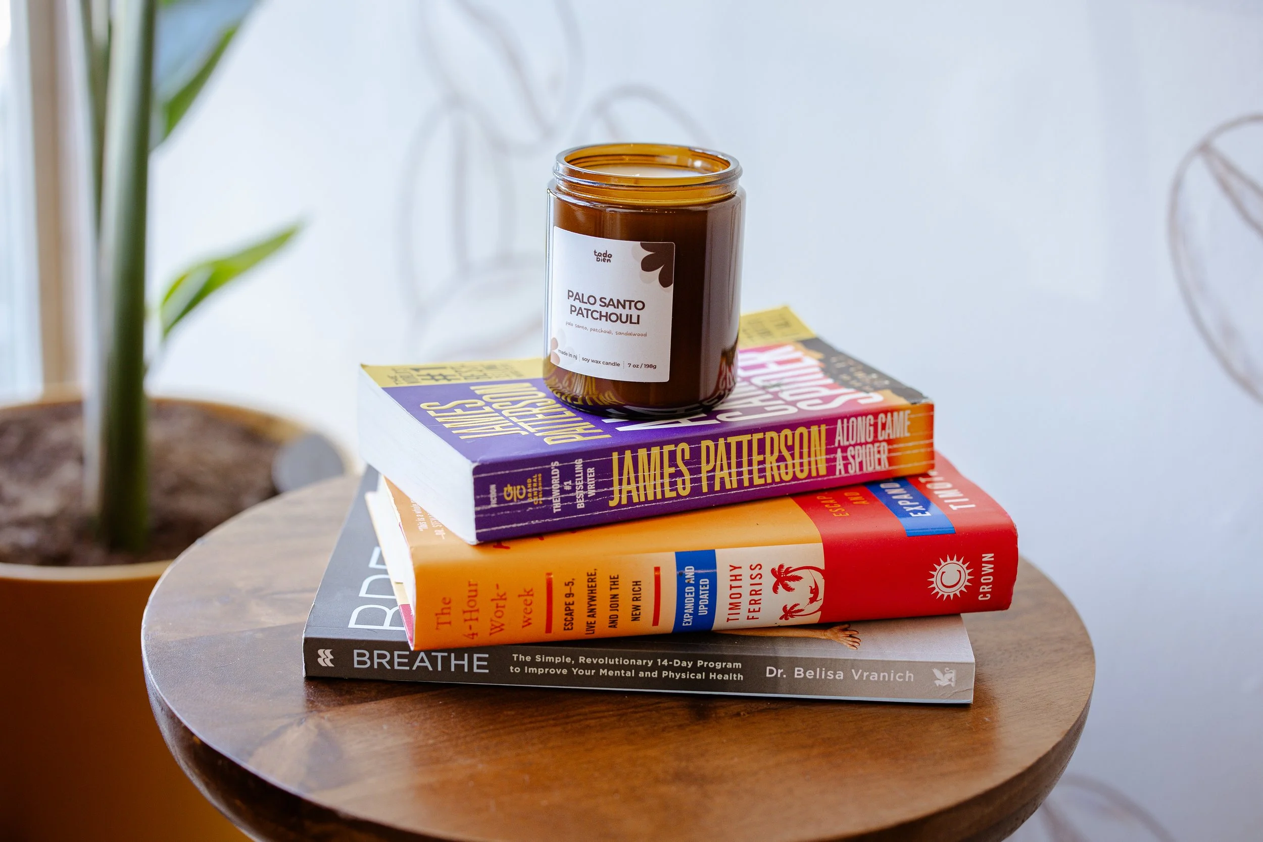 palo santo - books2.jpg