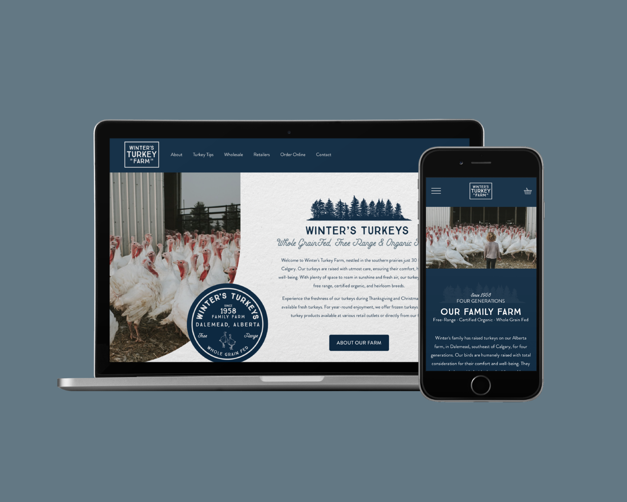 SEO, Keywords, Algorithms WTF?