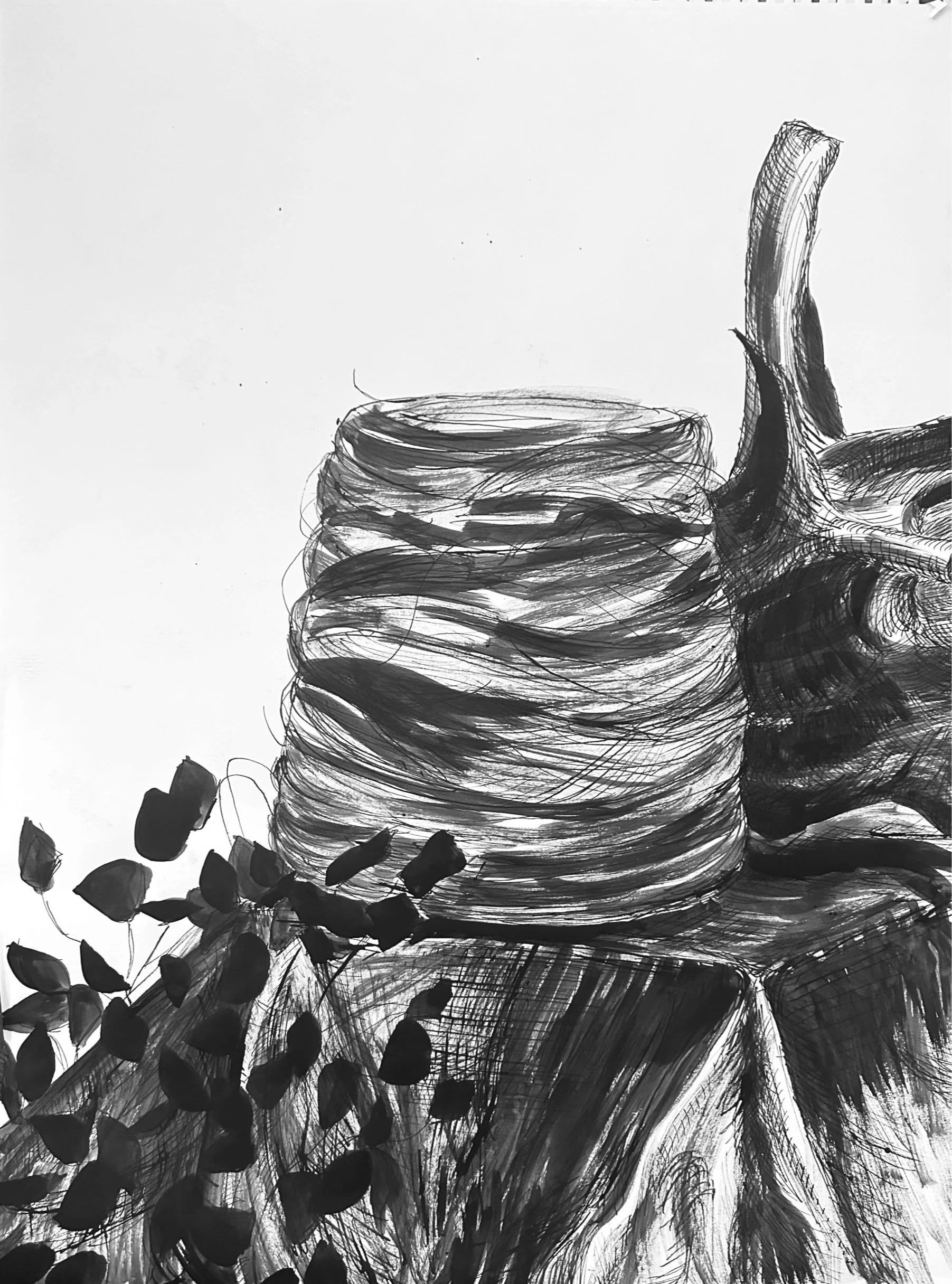 18in x 24in (ink)