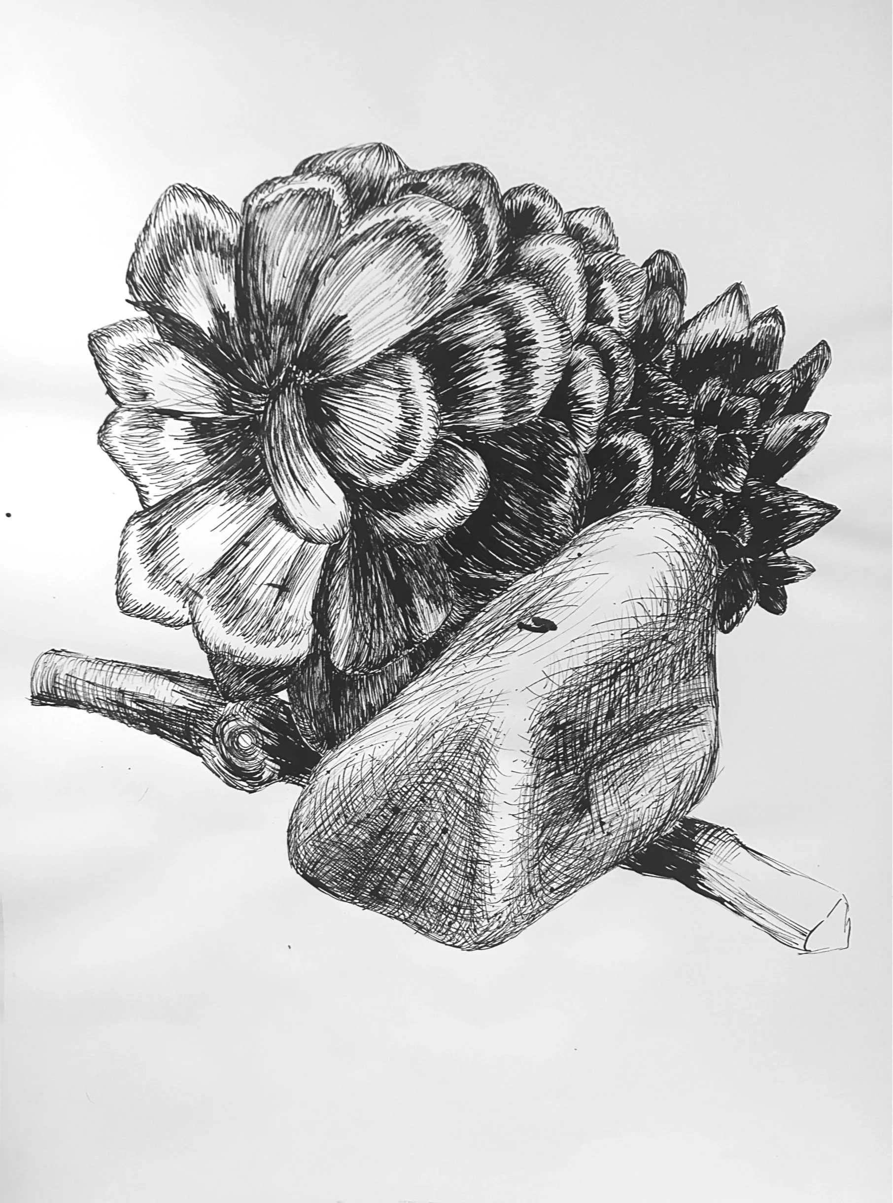 18in x 24in (ink)
