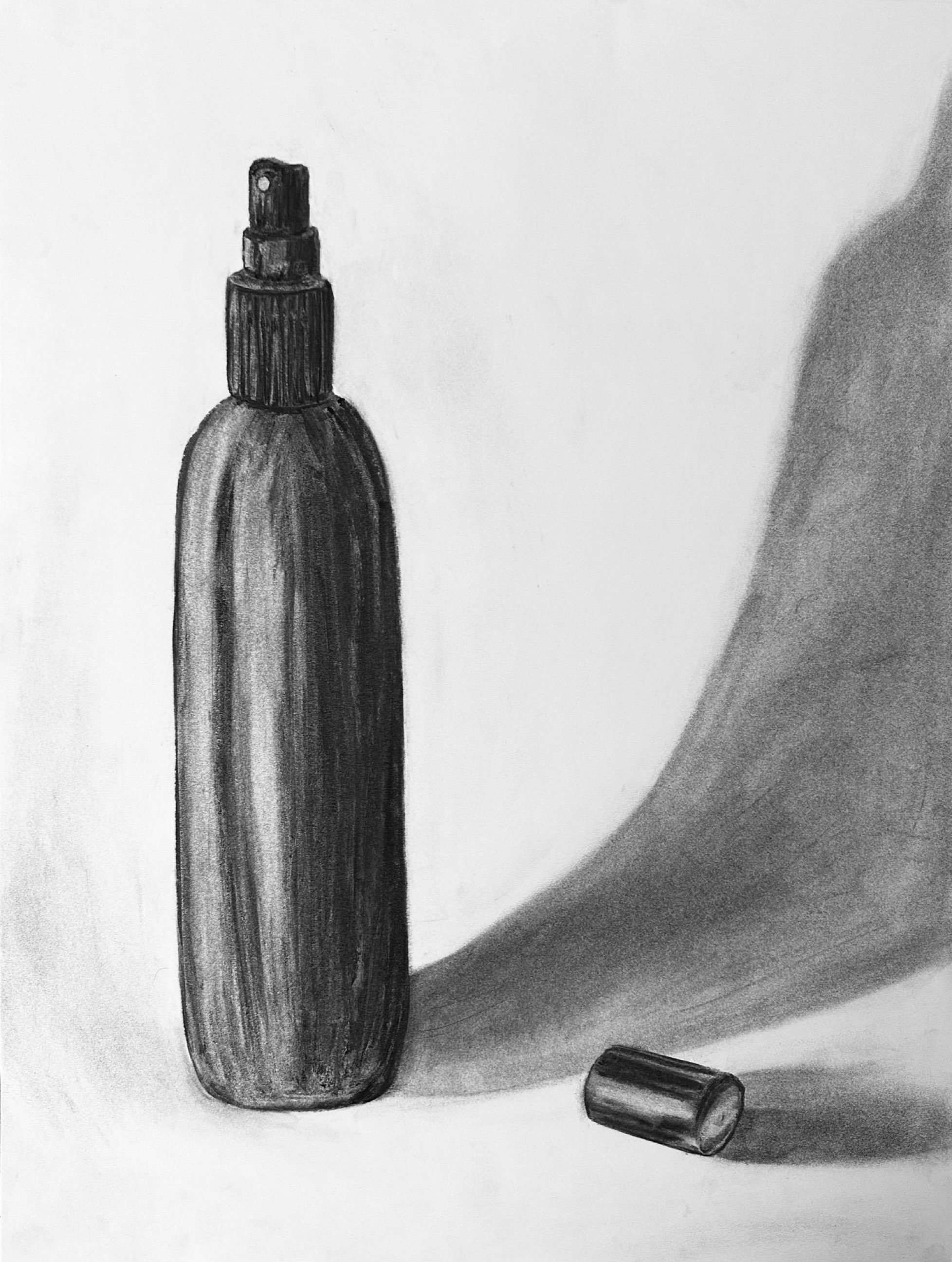 Hairspray: 18in x 24in (charcoal)