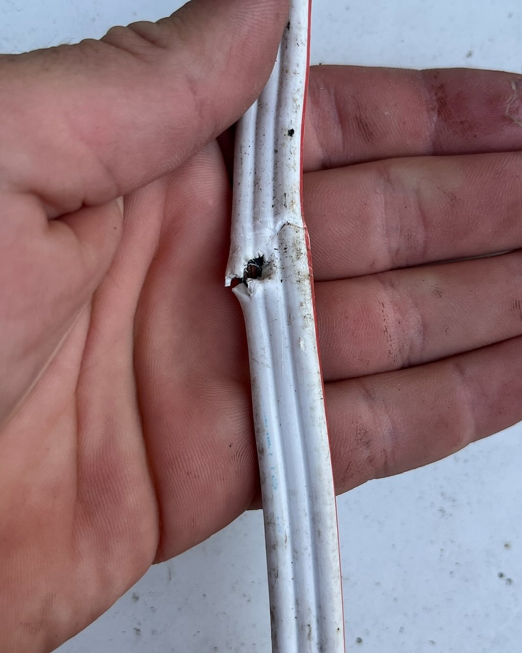 Glad we got into these before they became a serious problem 🤦‍♂️
If you are having electrical issues give us a call or send us a message for a free quote today!!
#faultfinding #electricalfault #sparky #electricianlife #electricalmaintenance